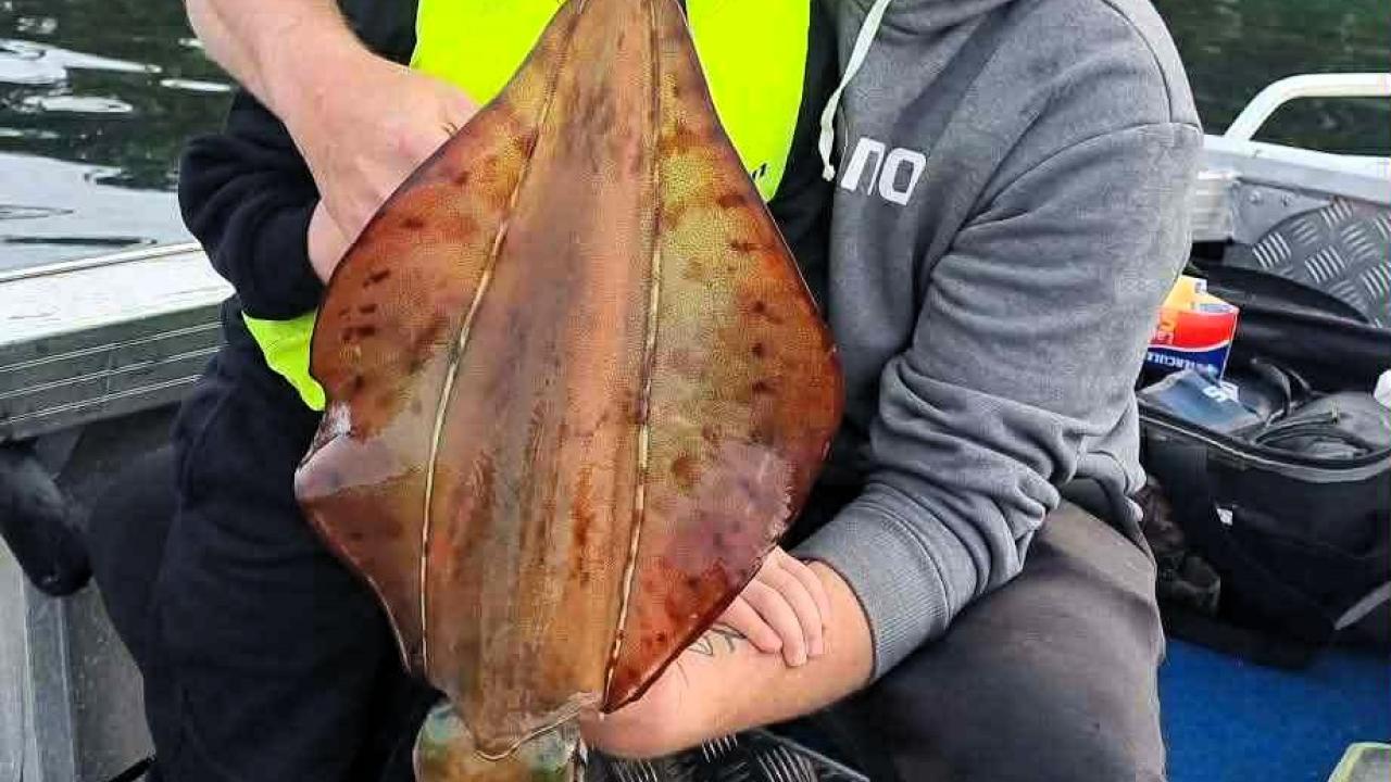 Bailey Withers with his dad Luke and a big Southern Calamari Squid Bailey caught last weekend during the opening of the Squid season /Southern zone.