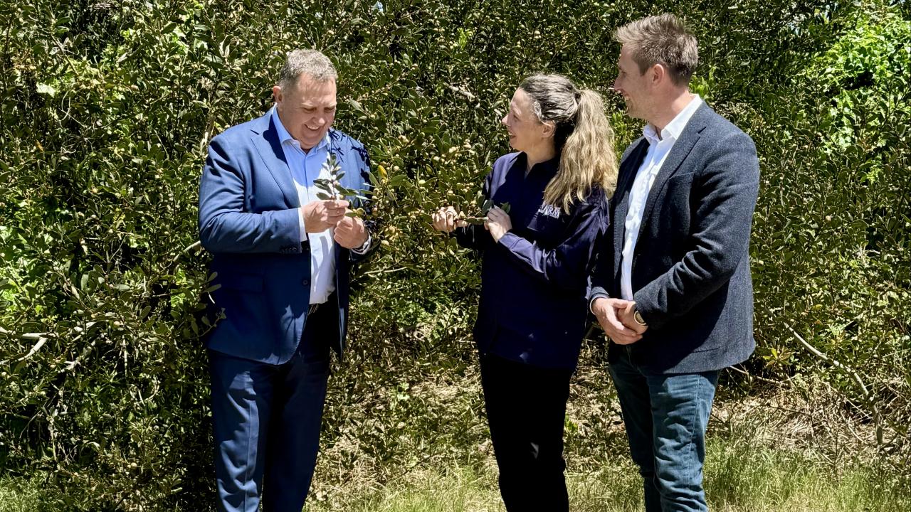 Minister for Primary Industries and Water, the Hon Gavin Pearce MP, with CCNRM Regional Weeds Coordinator Petra Wilden and CEO Phil Reid