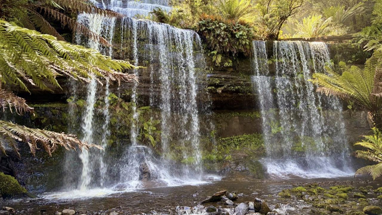 Mt Field National Park