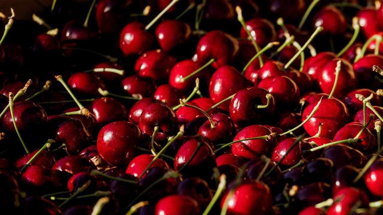 Tasmanian cherries