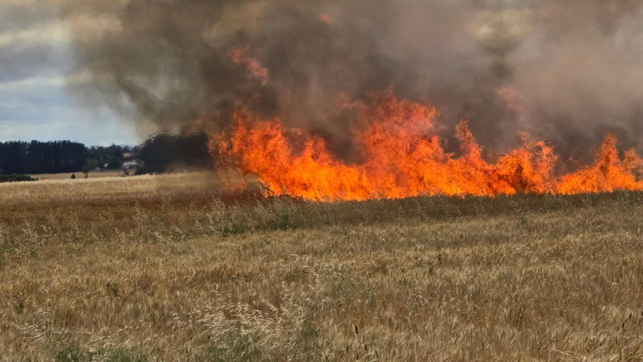 wheat crop on fire