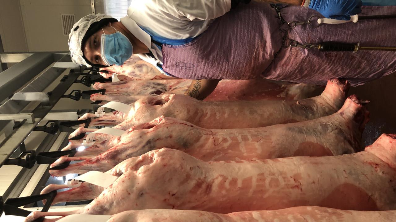 Nathan Blake weighing lamb carcasses in the boning room