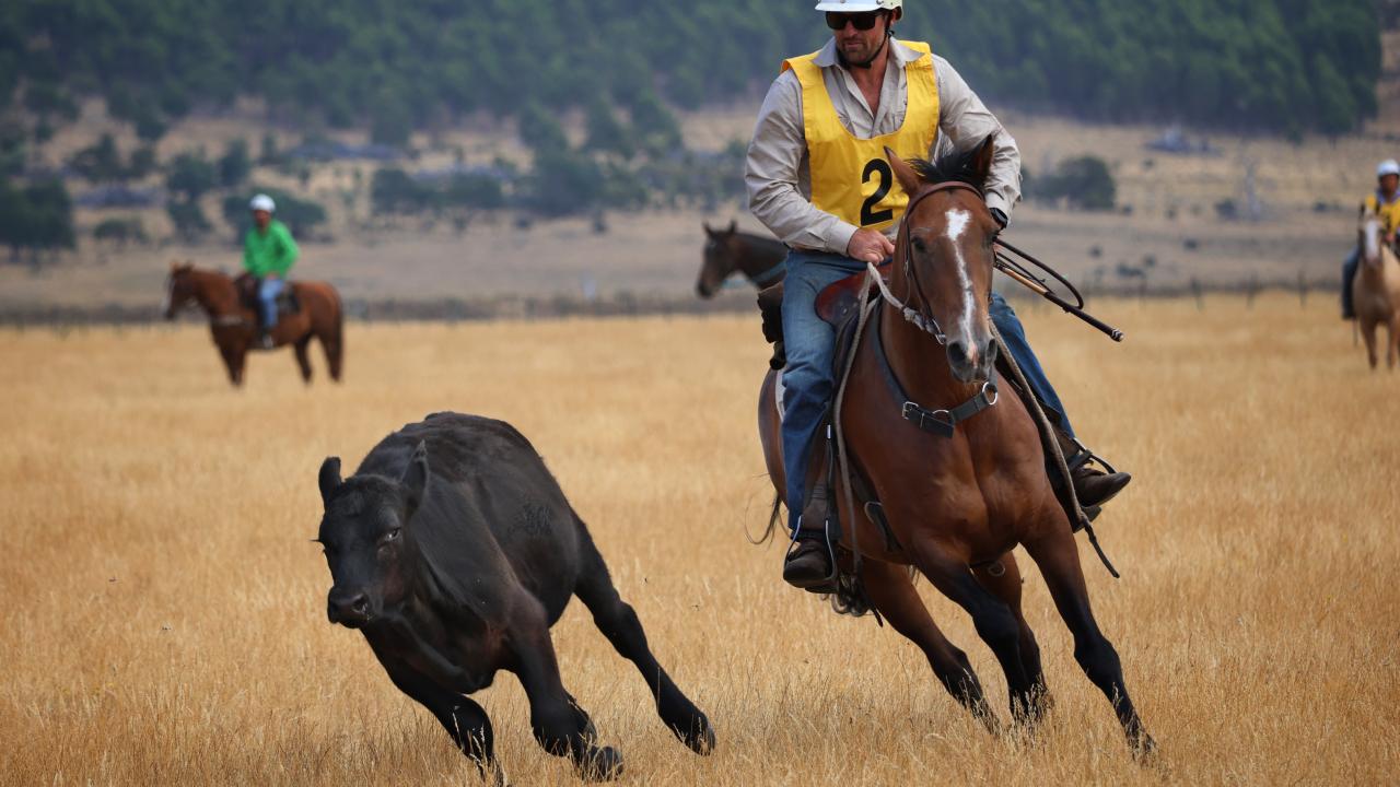 Brett Staines in action.