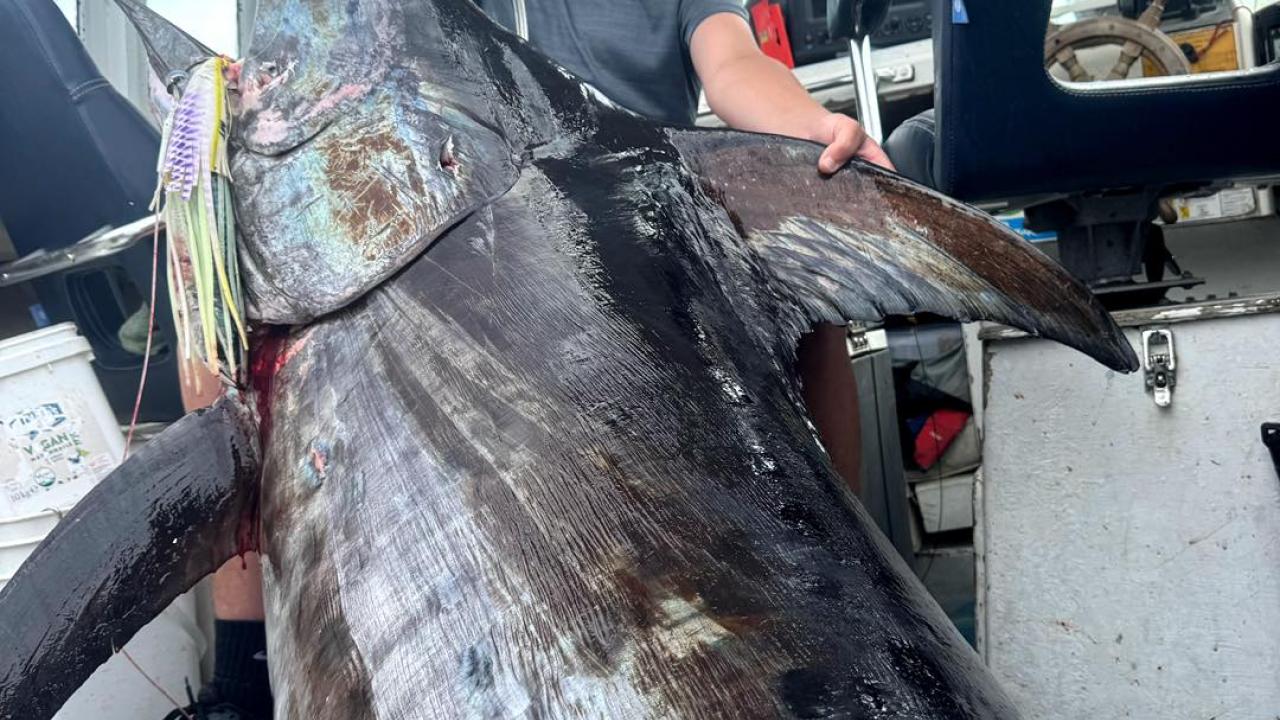 Lochie Miller with his 151kg record-breaking Broadbill Swordfish