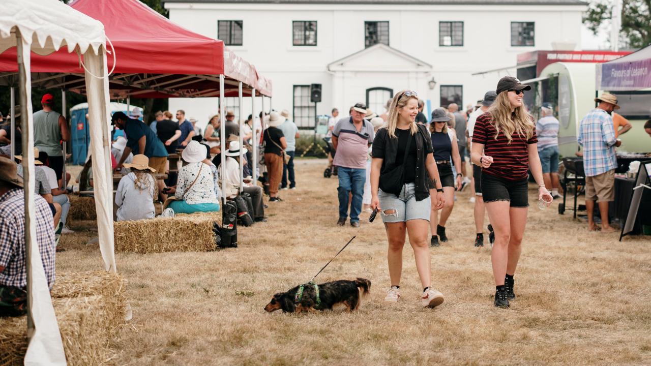 Attendees at the festival