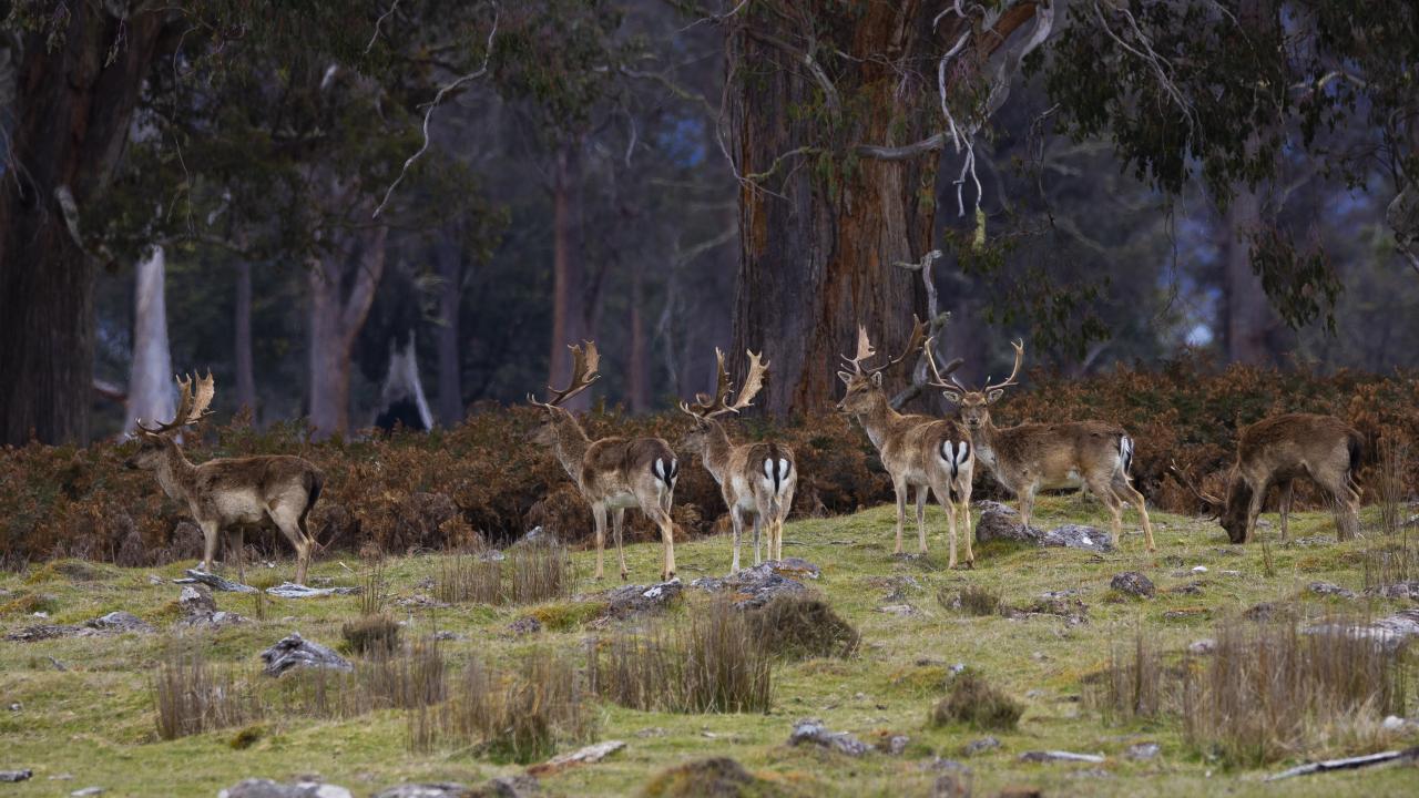 Photo by Zac Bartels