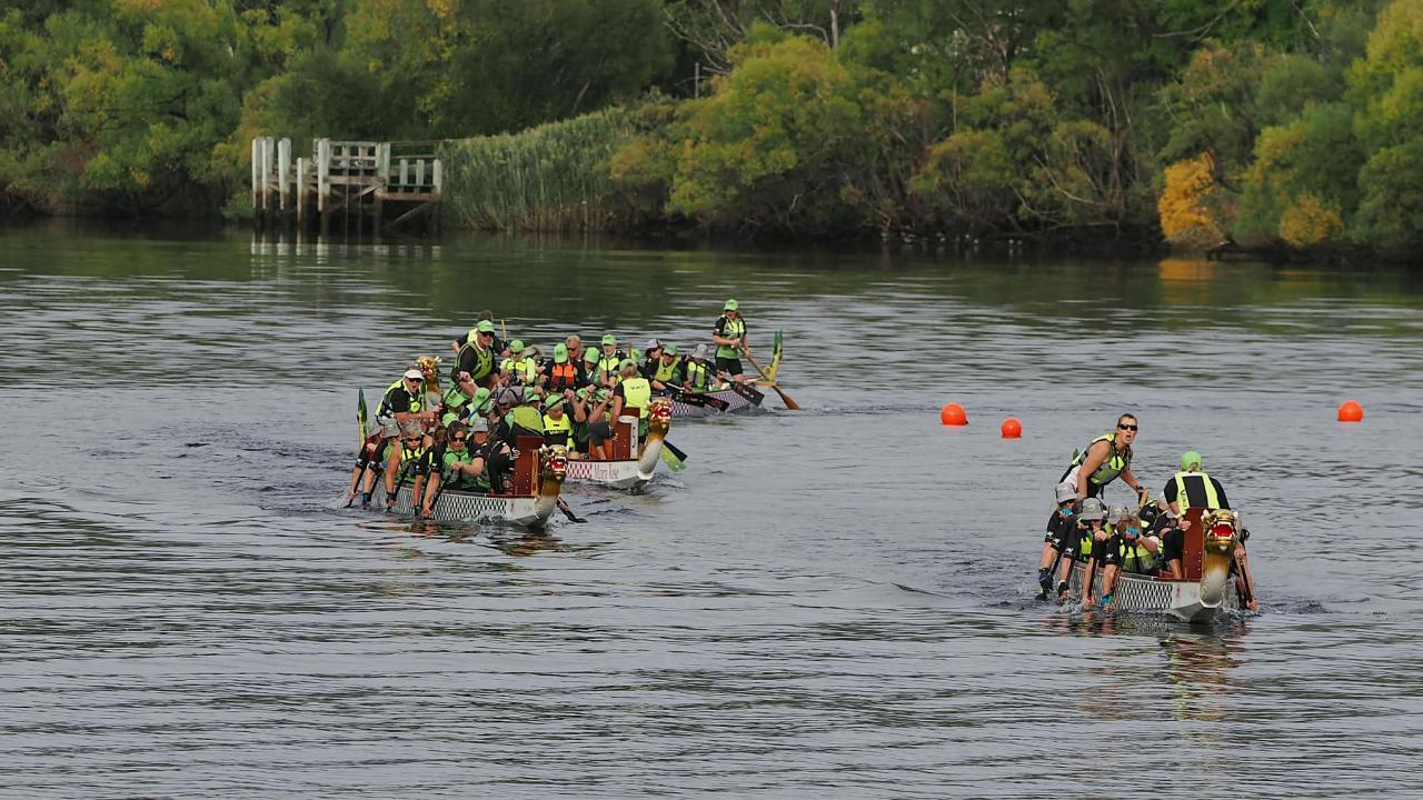 Dragon Boats racing at New Norfolk