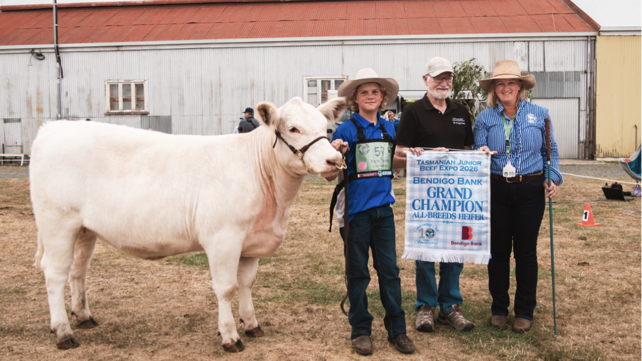 Tas Junior Beef Expo Grand Champion All-Breeds heifer Royston Quantum’s Rosary V55 with handler Rorey Smith, Andrew Johnstone & Rebecca Woodiwiss.