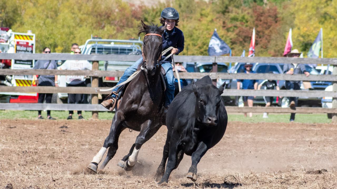 Matthias Badstuebner from Mole Cree