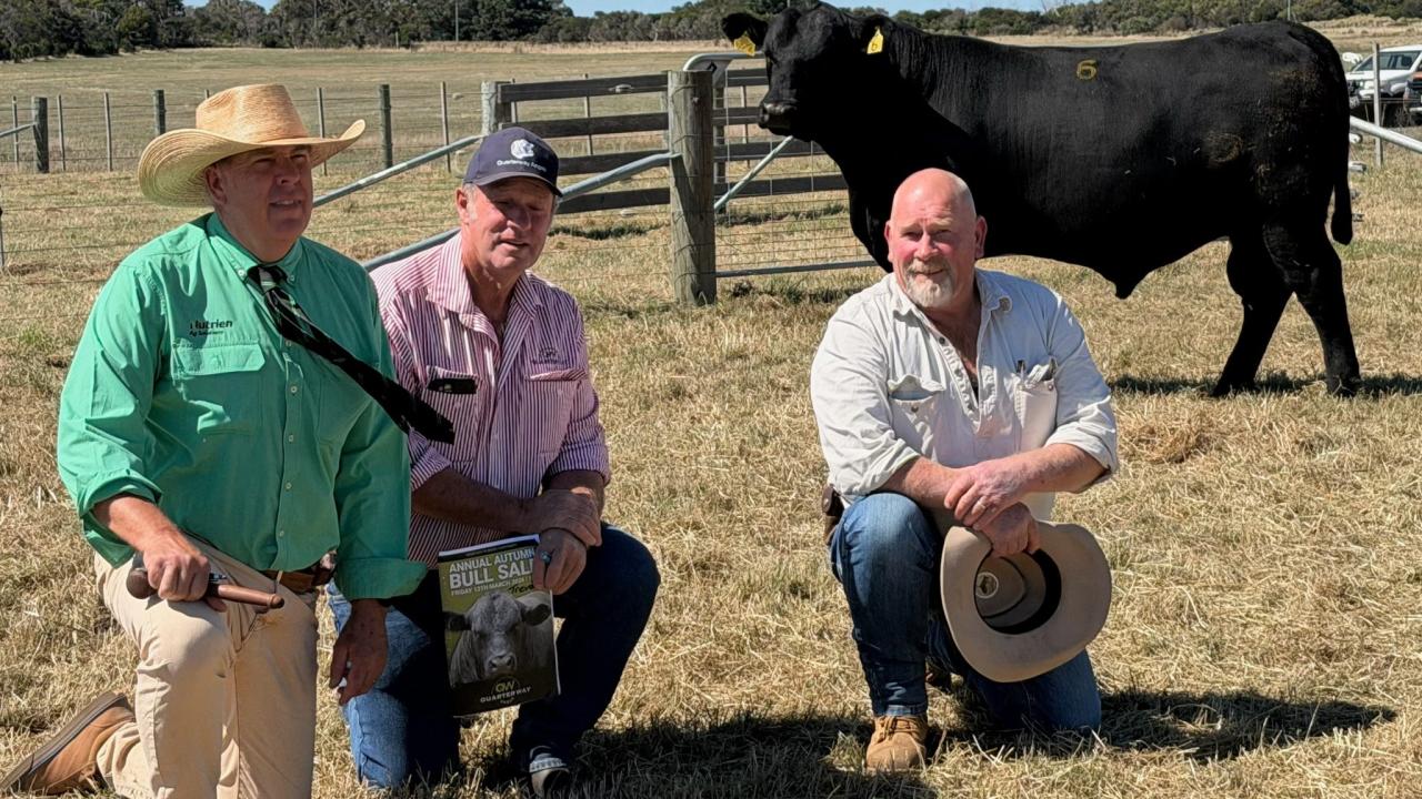 Warren Johnston from Nutrien,  left, Quarterway stud principal Trevor Hall and Craig Steel from Ashwood Ag at Winnaleah with their top-priced bull.