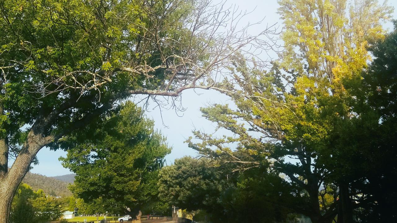 New Norfolk Esplanade