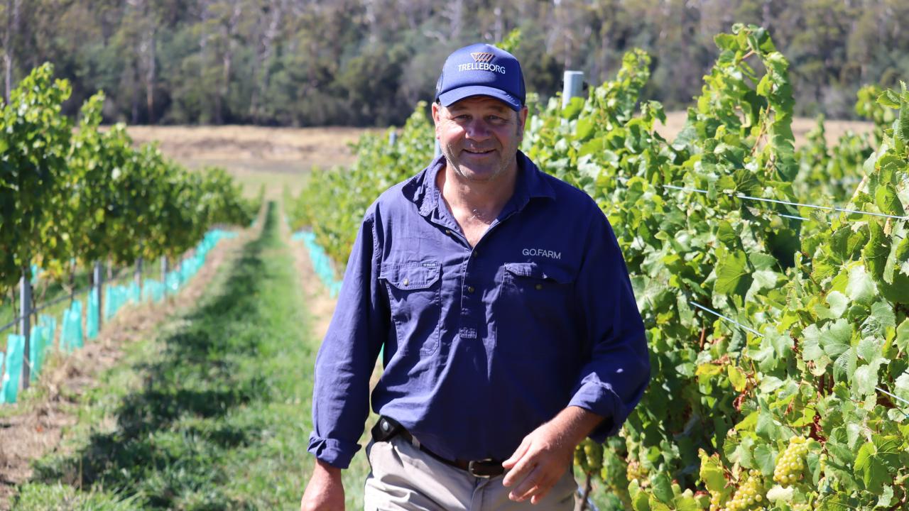 GO.FARM Tasmania general manager Allan Barr at the newly established Beaconsfield vineyard that will produce its first vintage this season.