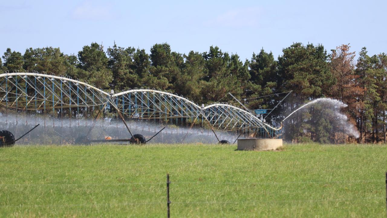 Irrigation