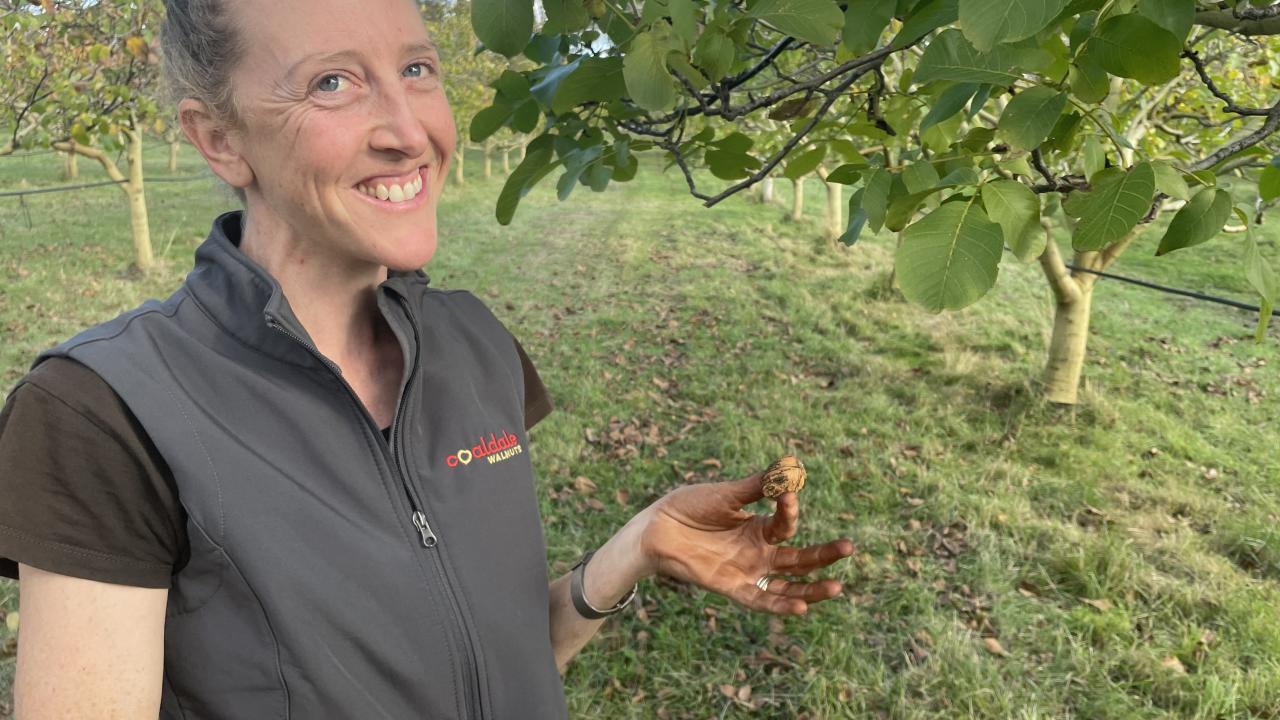 Sophie Millic of Coaldale Walnuts