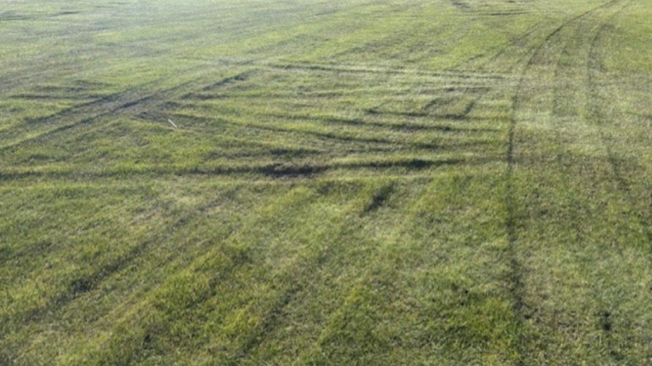 Truck damage to Gunn Oval