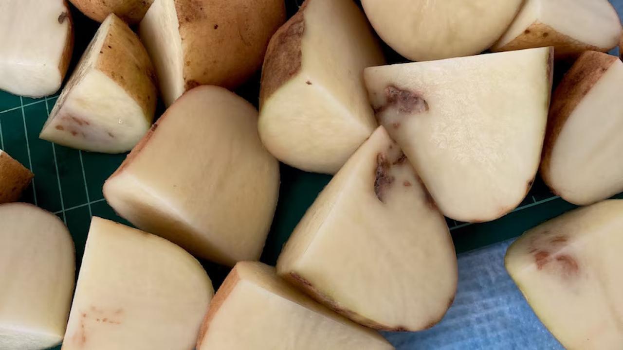 Potatoes with mop-top virus.