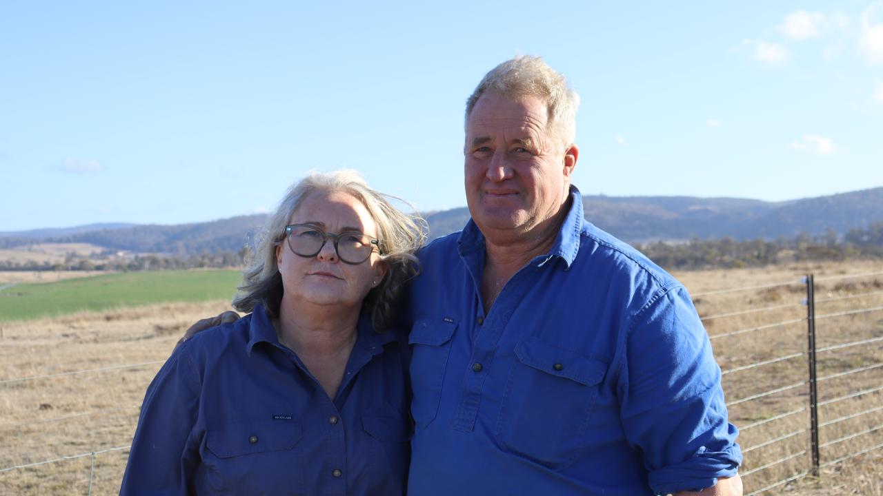 Melissa and William Fergusson