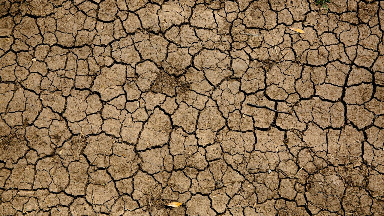 Dry land