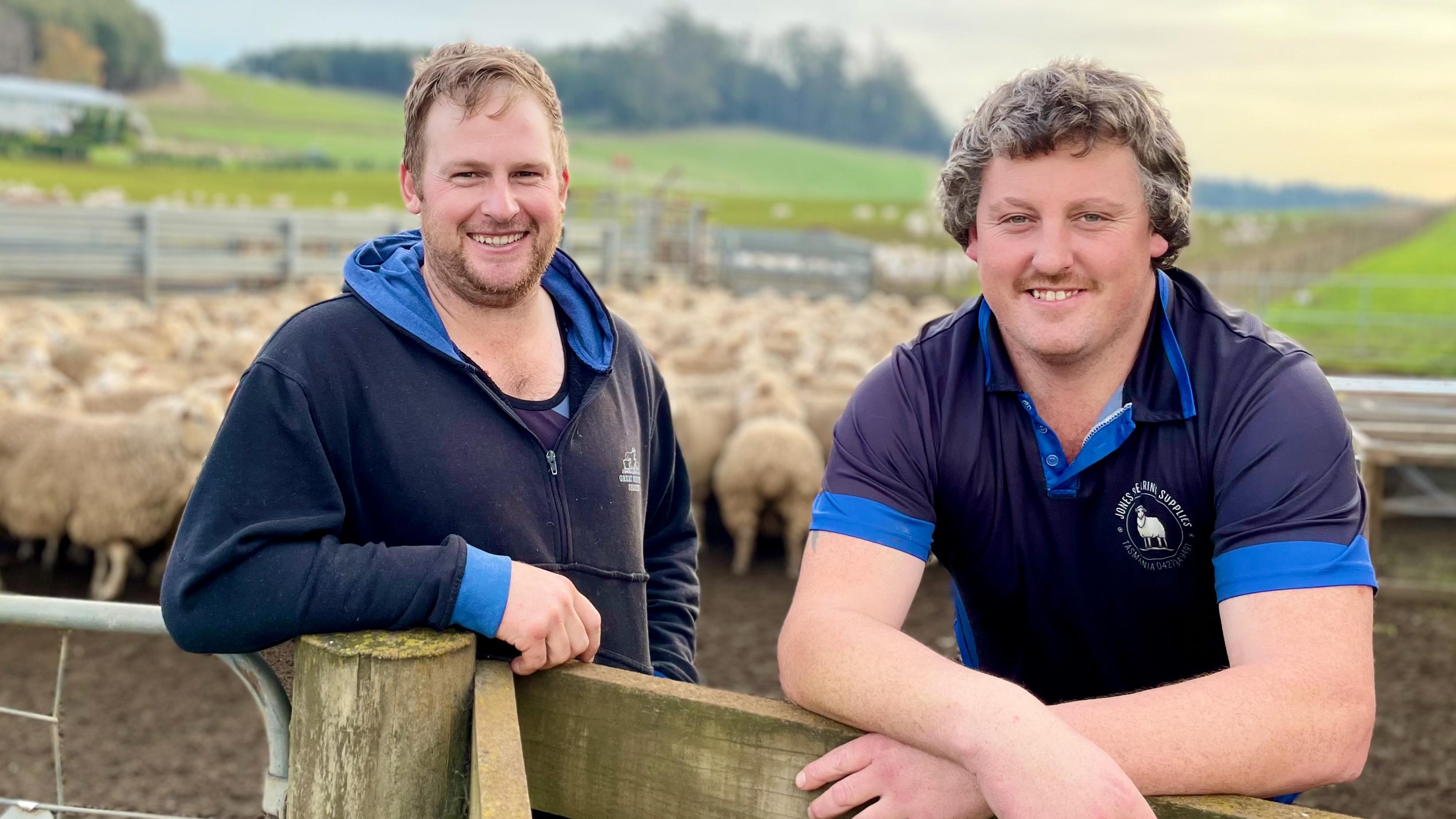 Top shearers