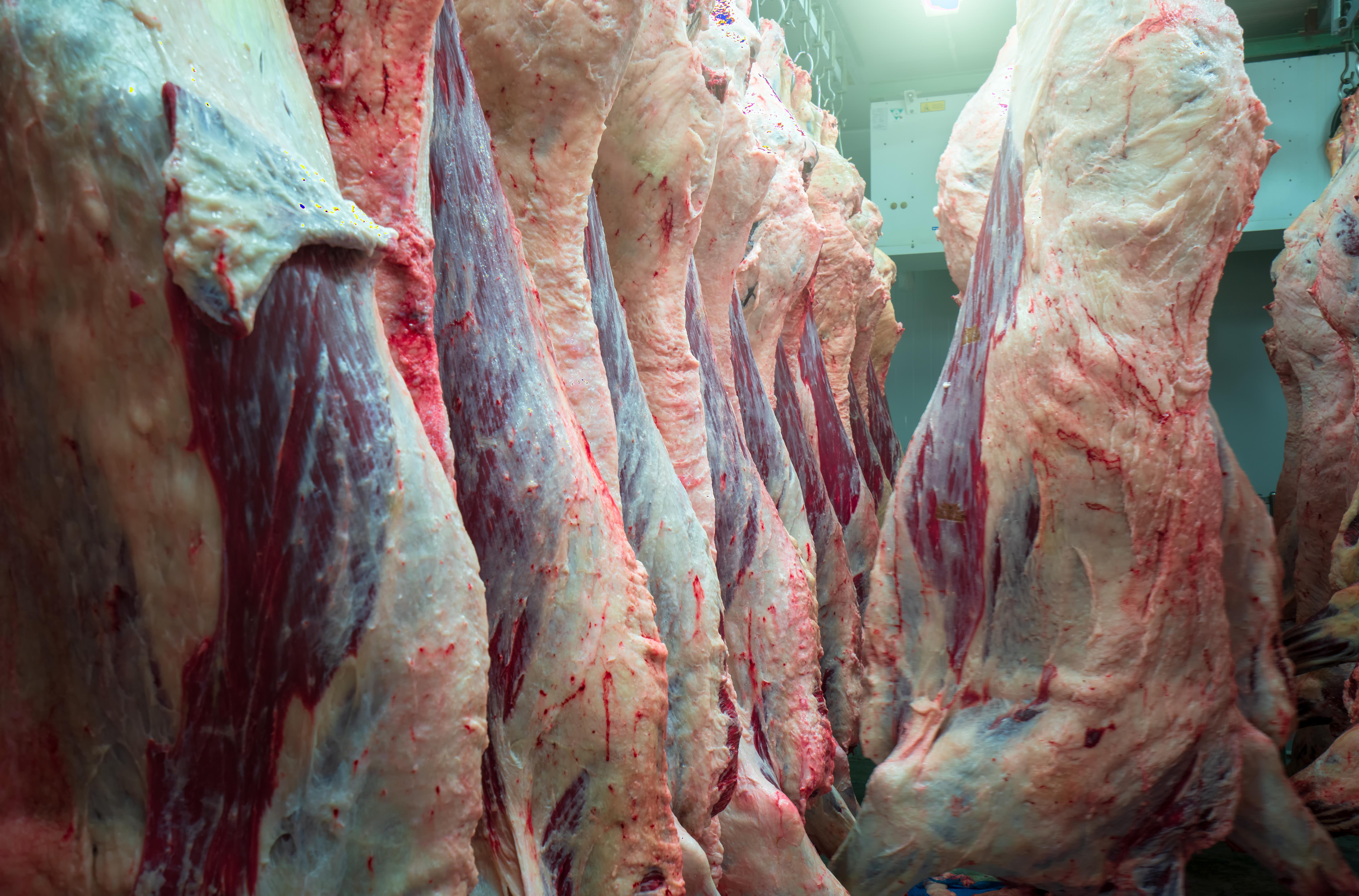 Carcases