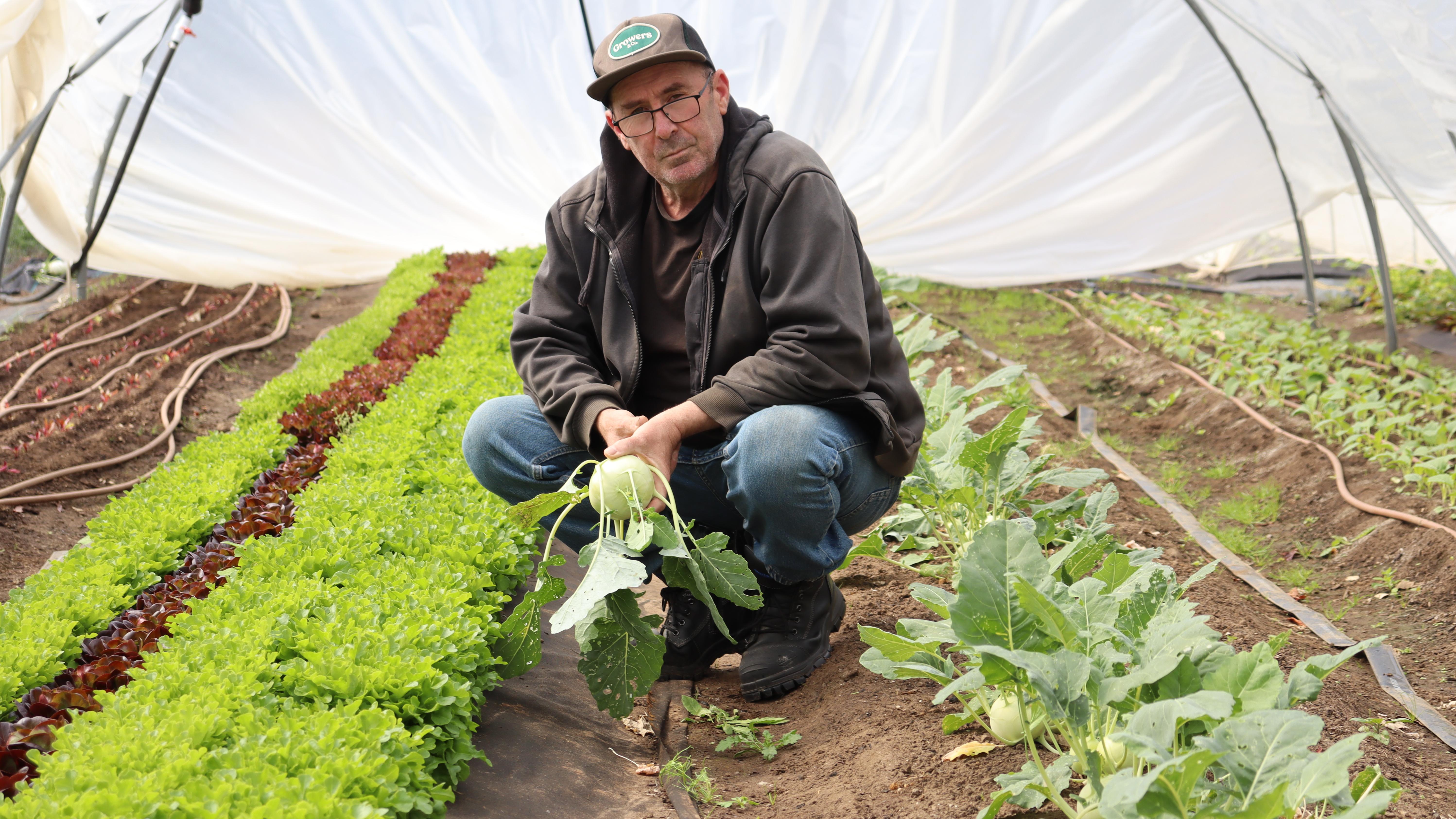 James Hutchinson is the owner of Longley Organic Farm.