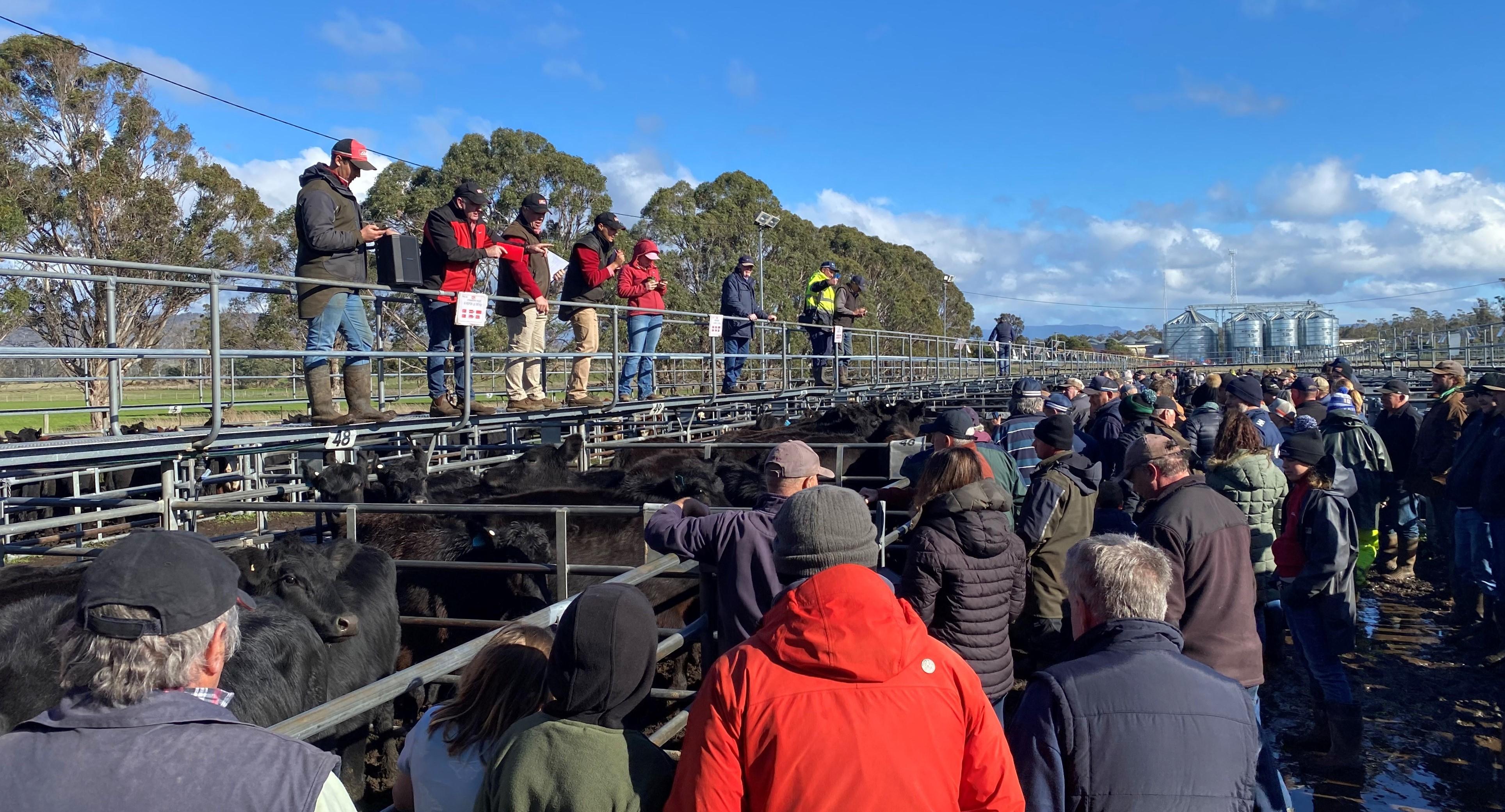 Powranna Saleyard
