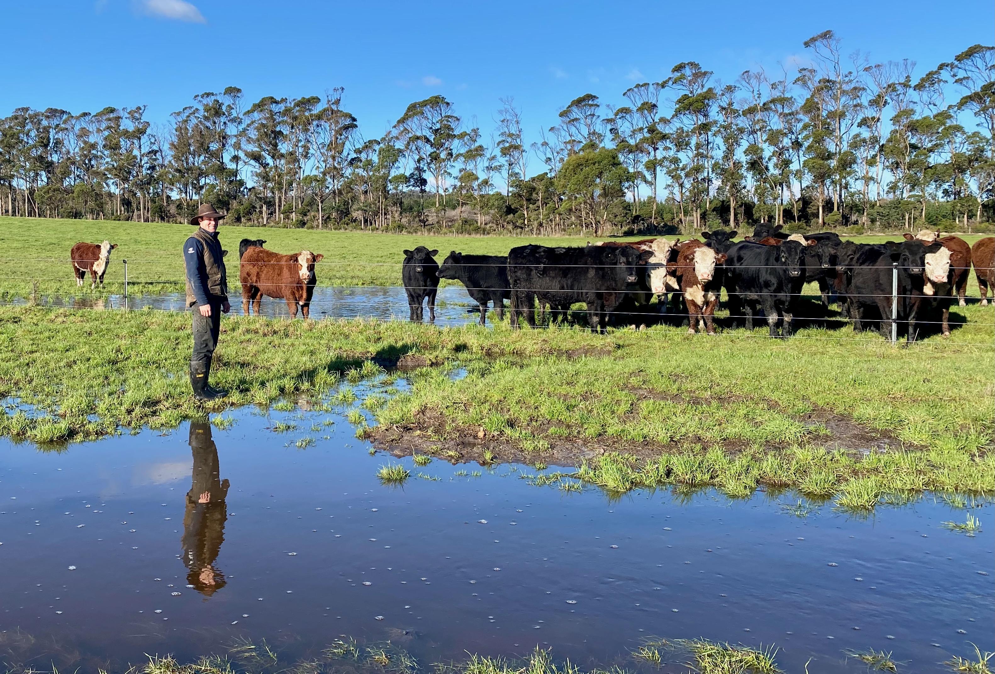 Tolivar Angus Stud farm manager Hayden Harper 
