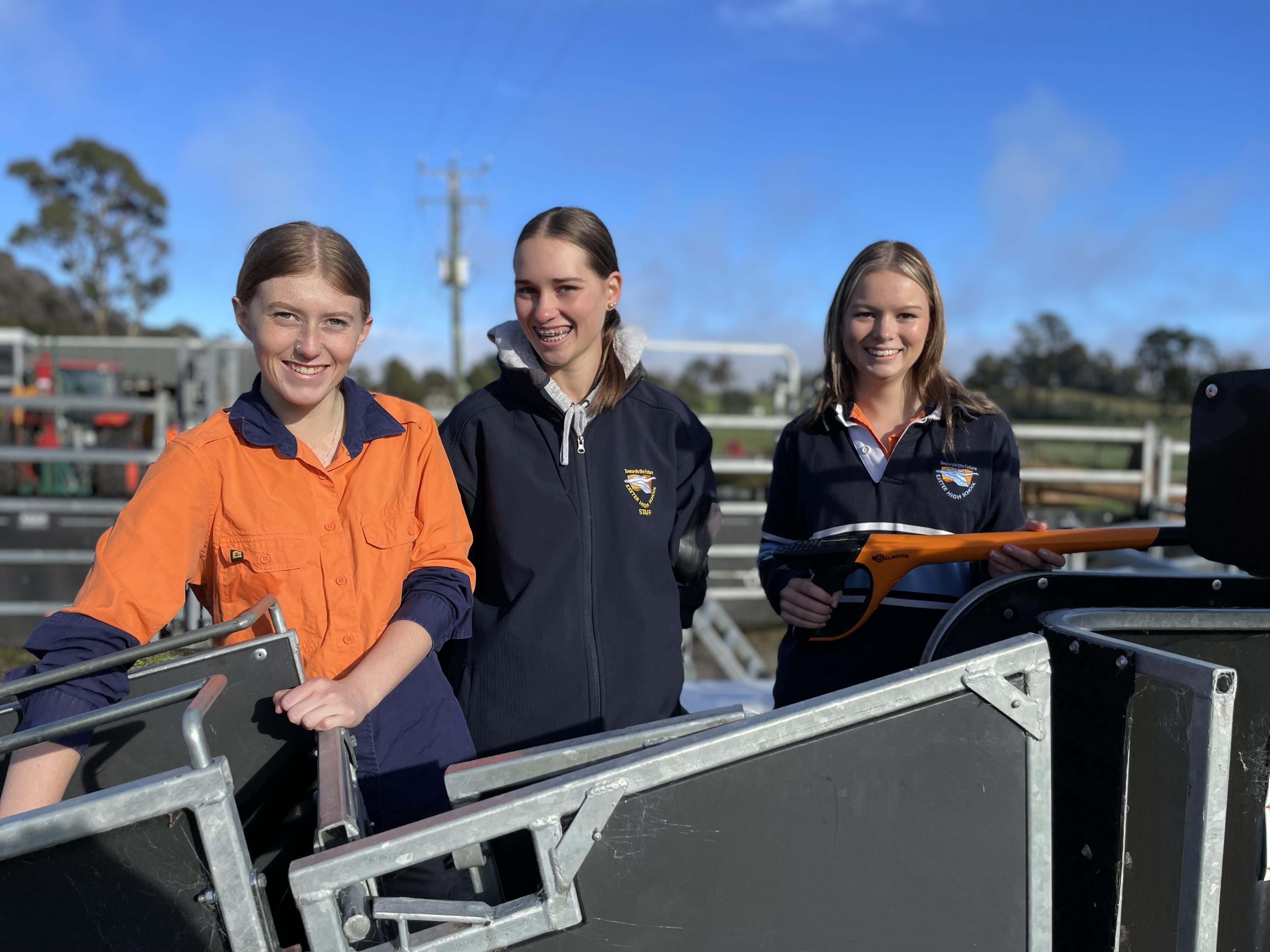 Weighing and drenching lambs are agriculture students Kallie Goss of Hillwood, Isabella Swain of Yorktown and Riley Evans of Beauty Point.