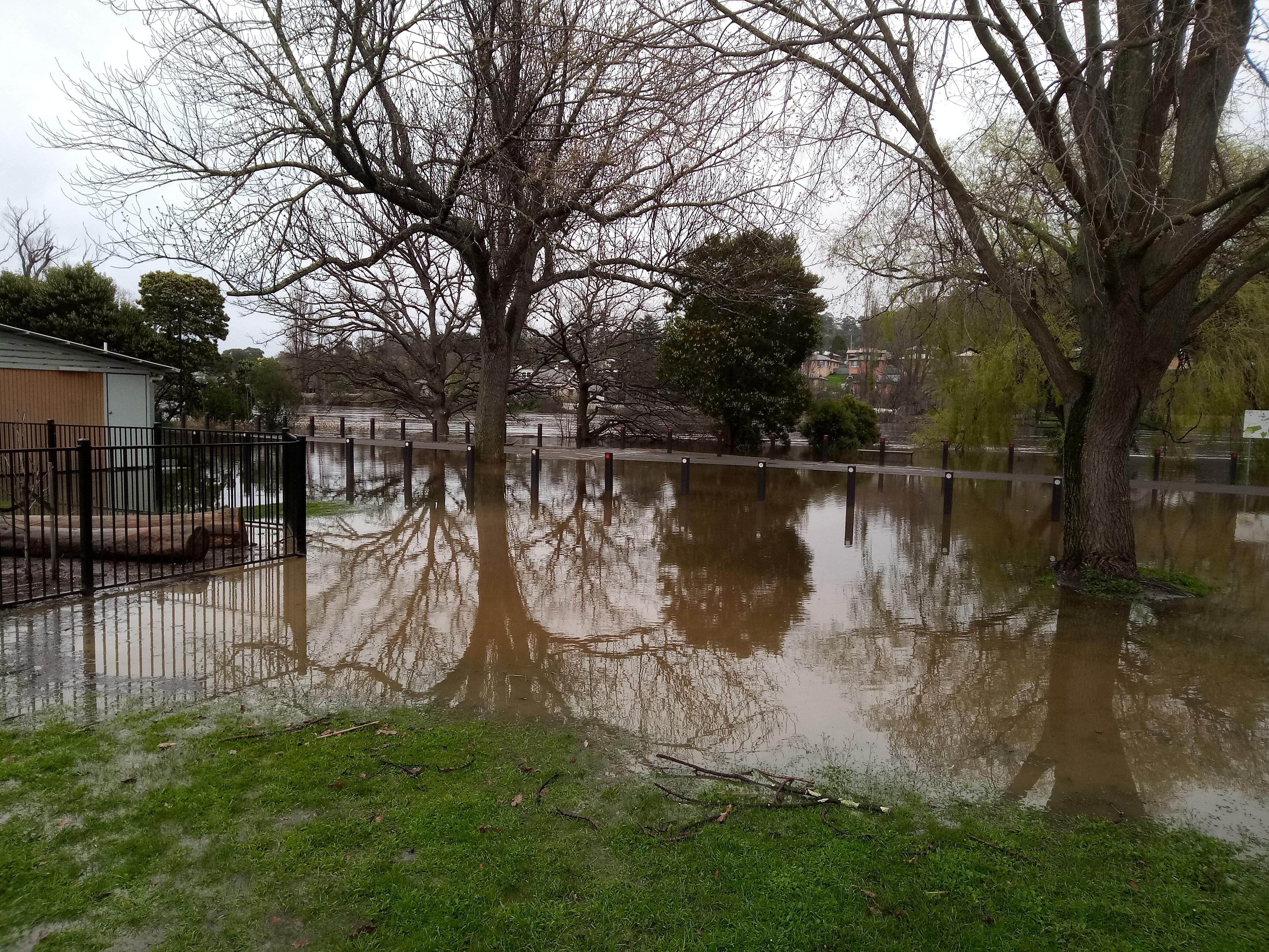 Flooding at New Norfolk in September 2024