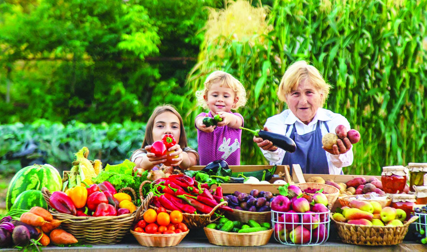 Vegetable stall