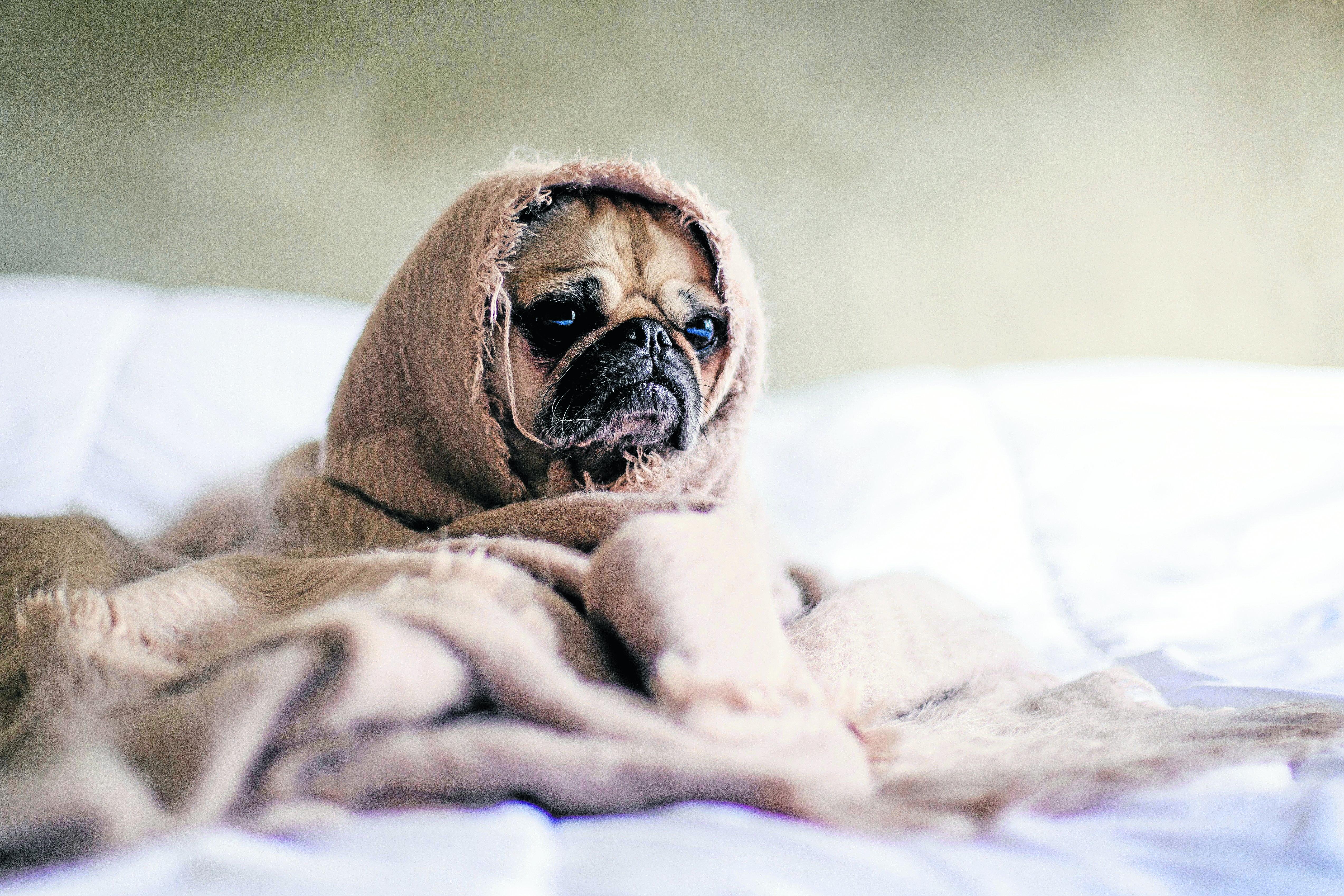 Warm and contented