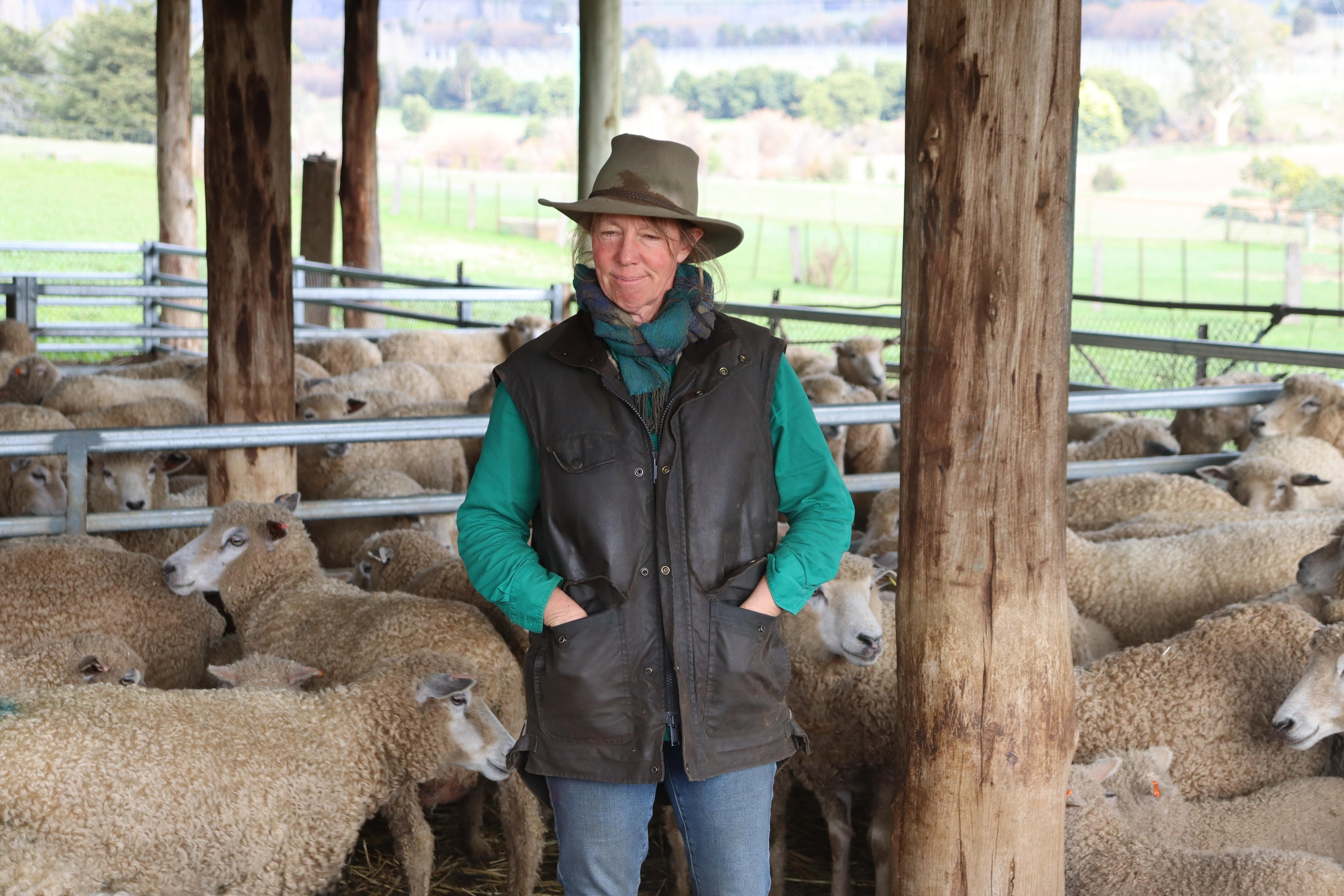 Fiona Hume surrounded by sheep