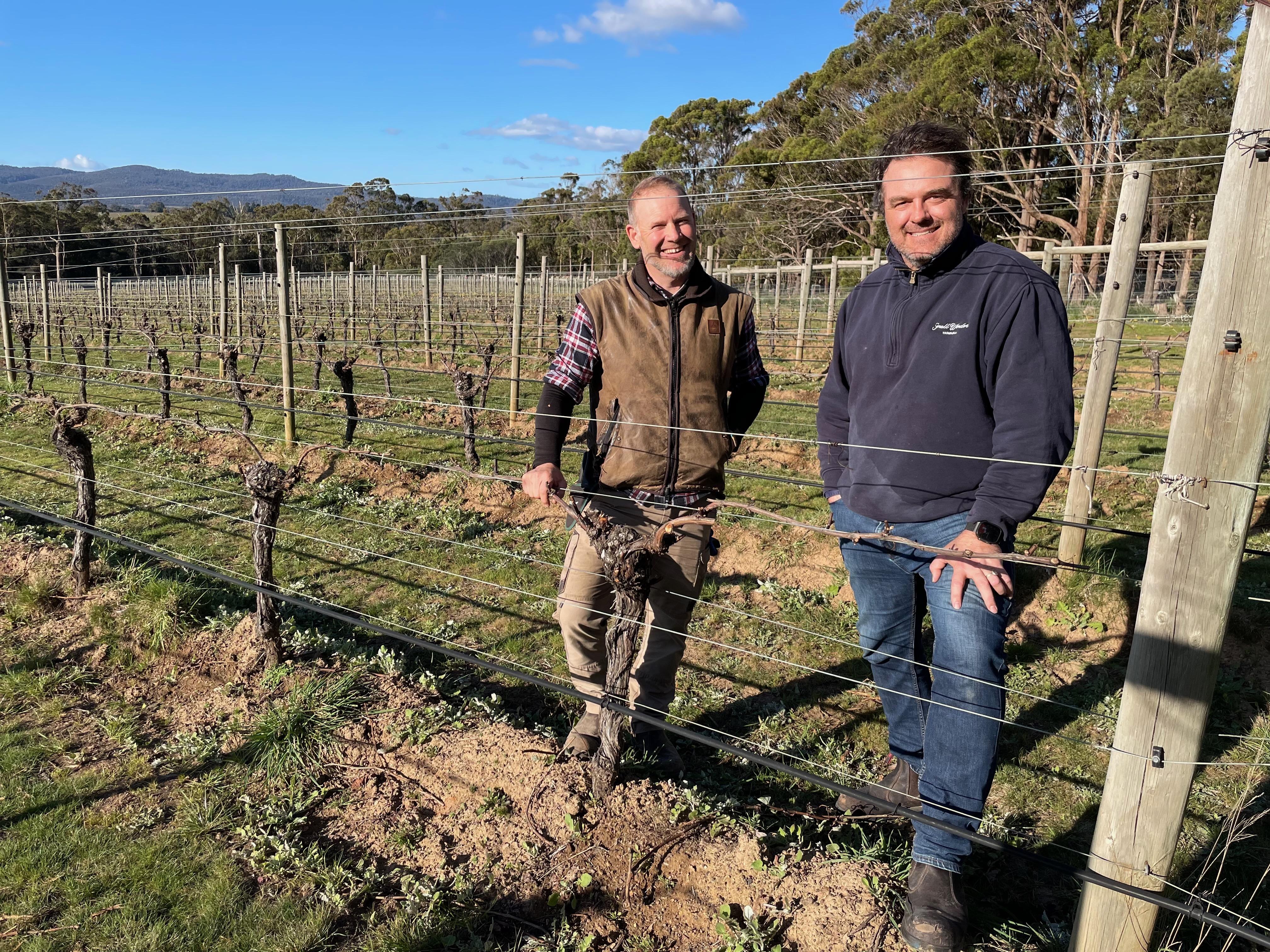 Vineyard manager Chris Martin and chief winemaker Ockie Myburgh