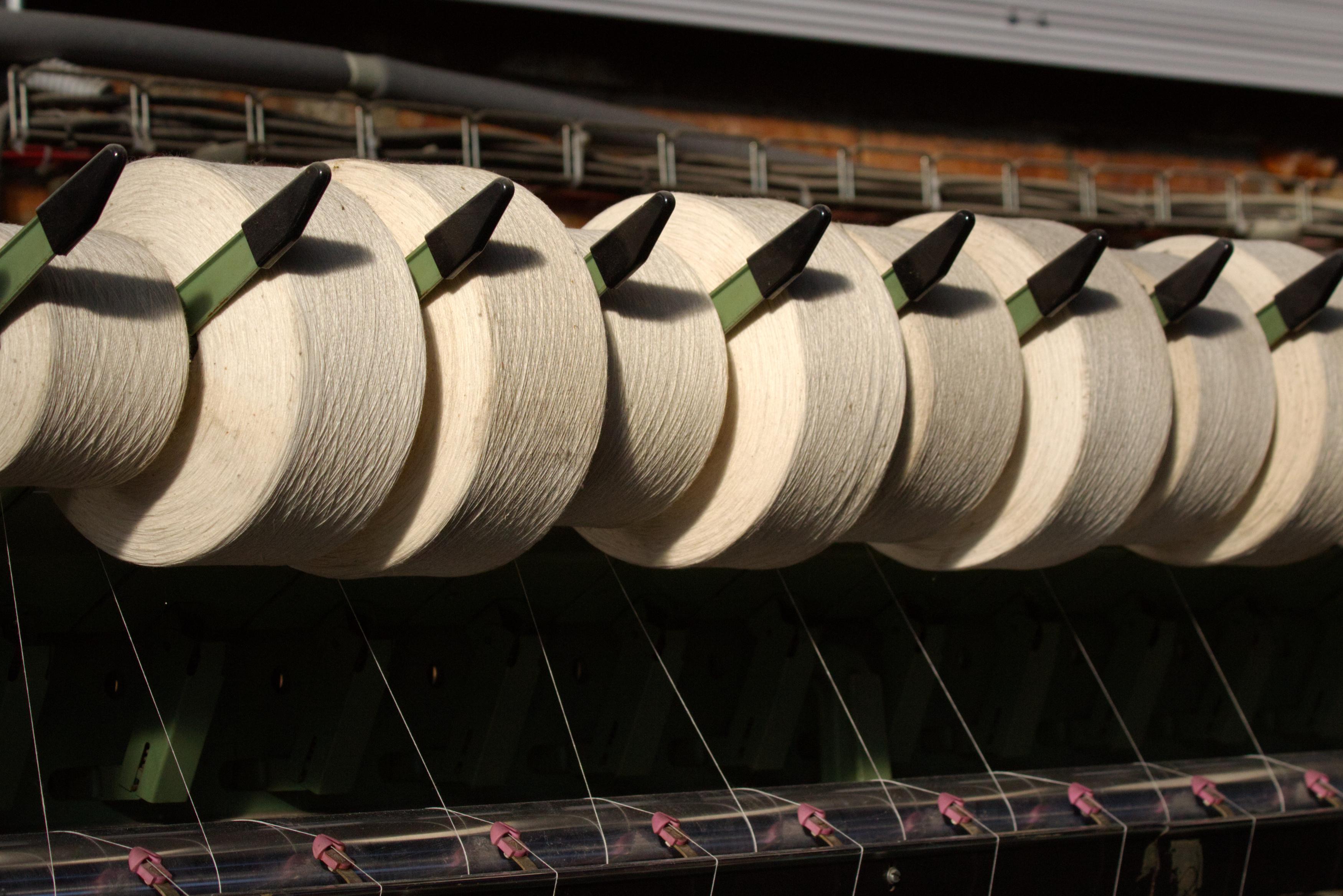 Wool