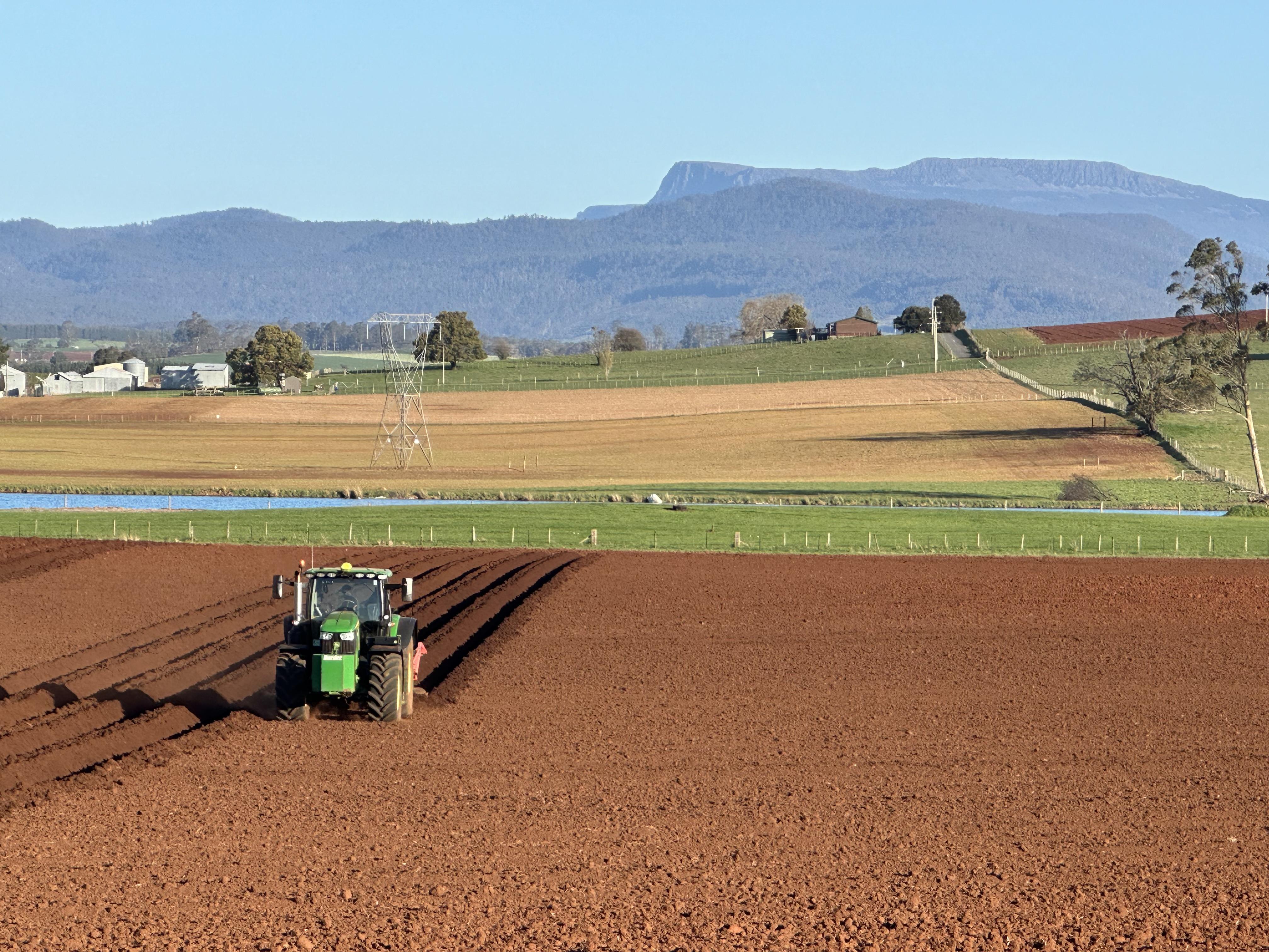 Tractor preparing paddocks near Deloraine.
