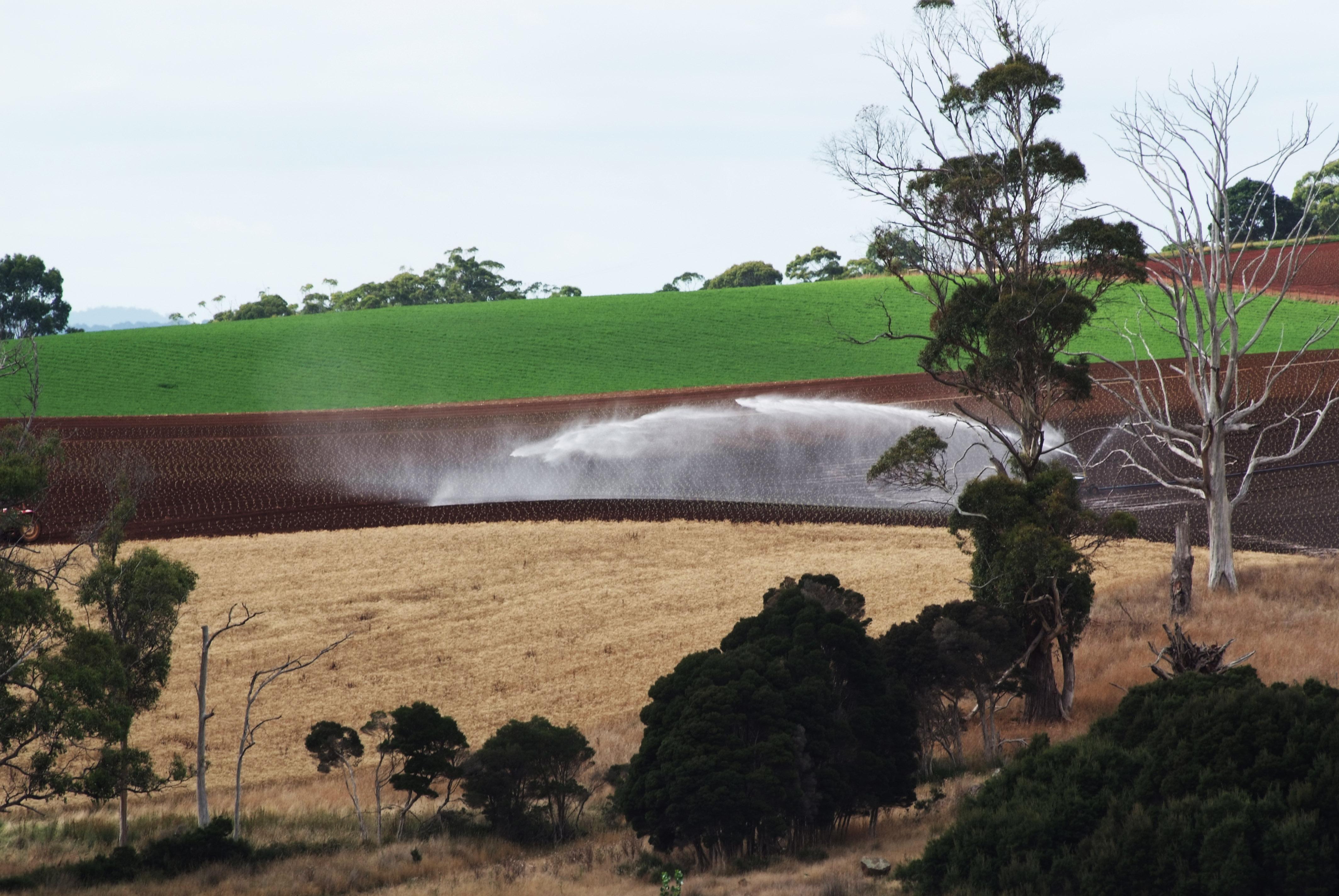 A North-West farm
