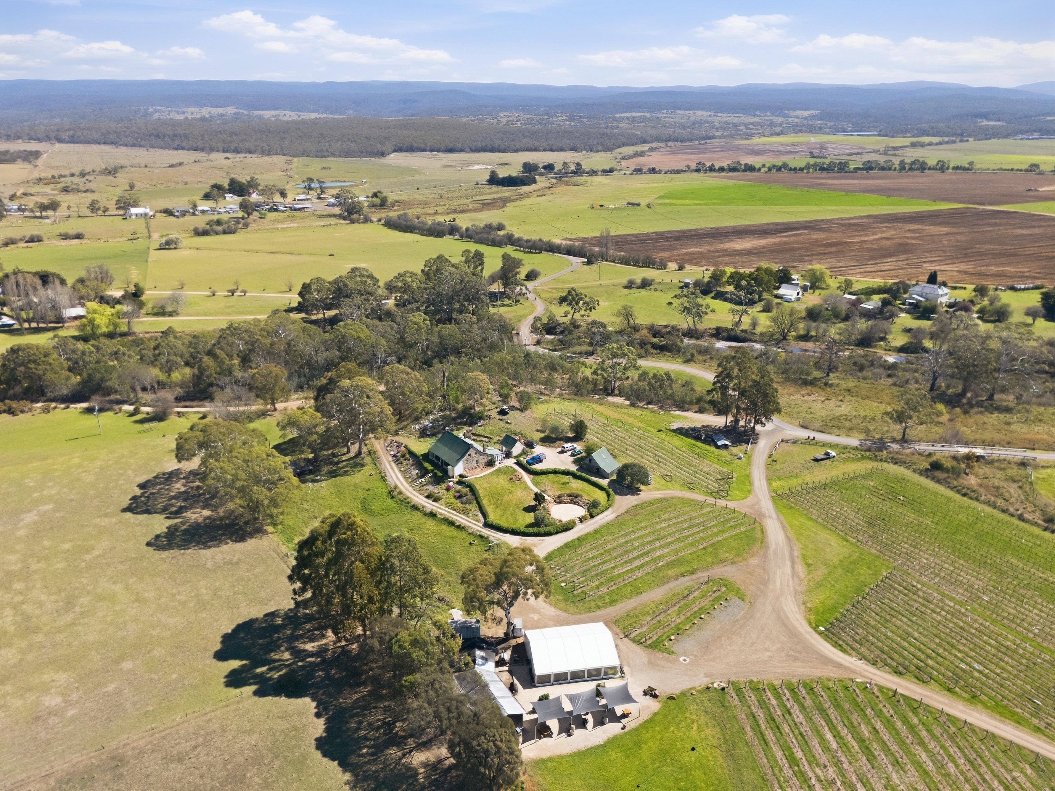 Craigie Knowe Vineyard