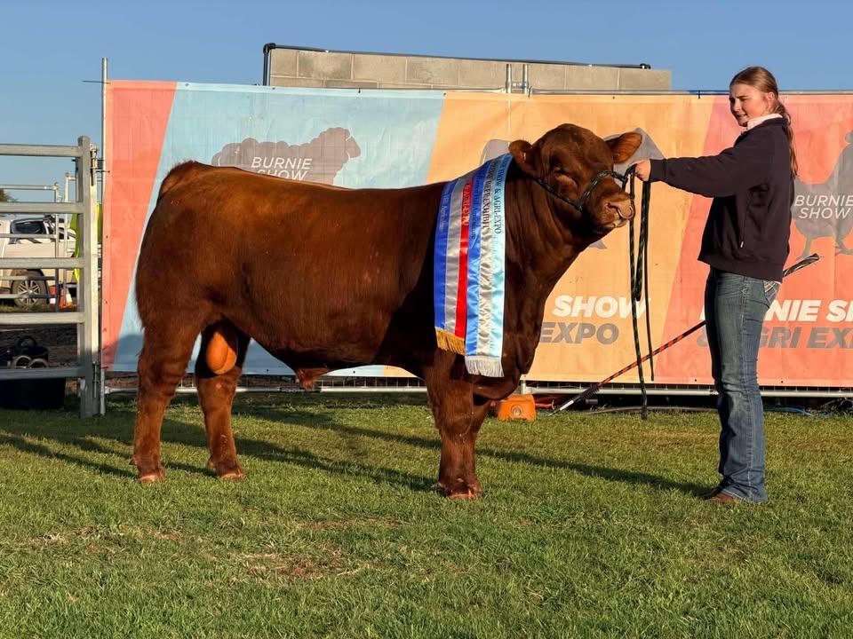 Supreme beef exhibit