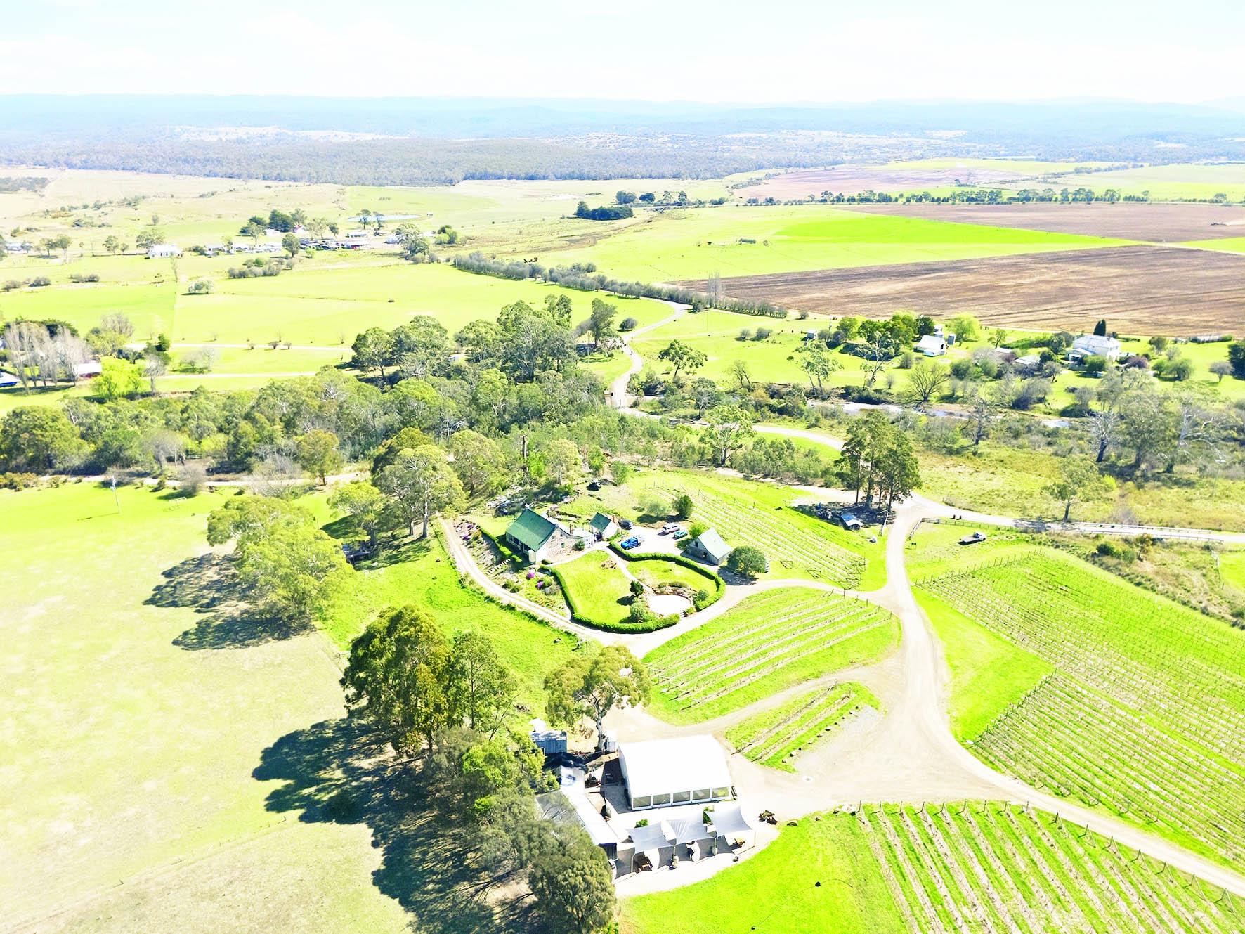 Craigie Knowe Vineyard