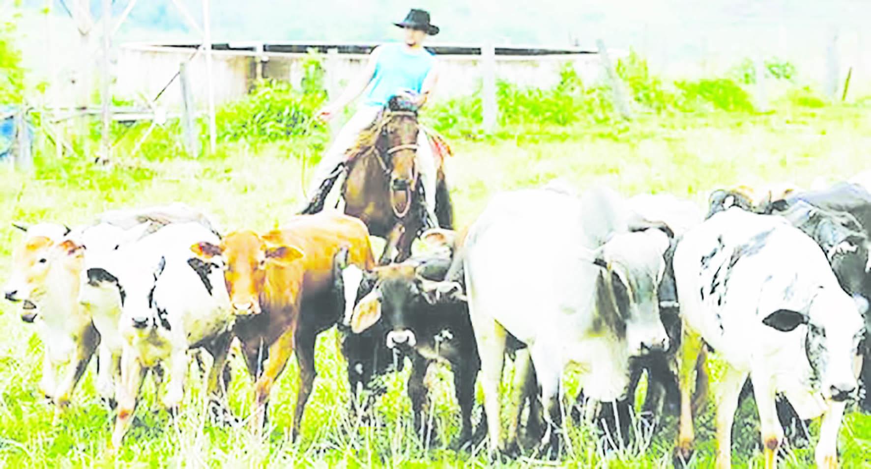 A Brazilian beef producer 