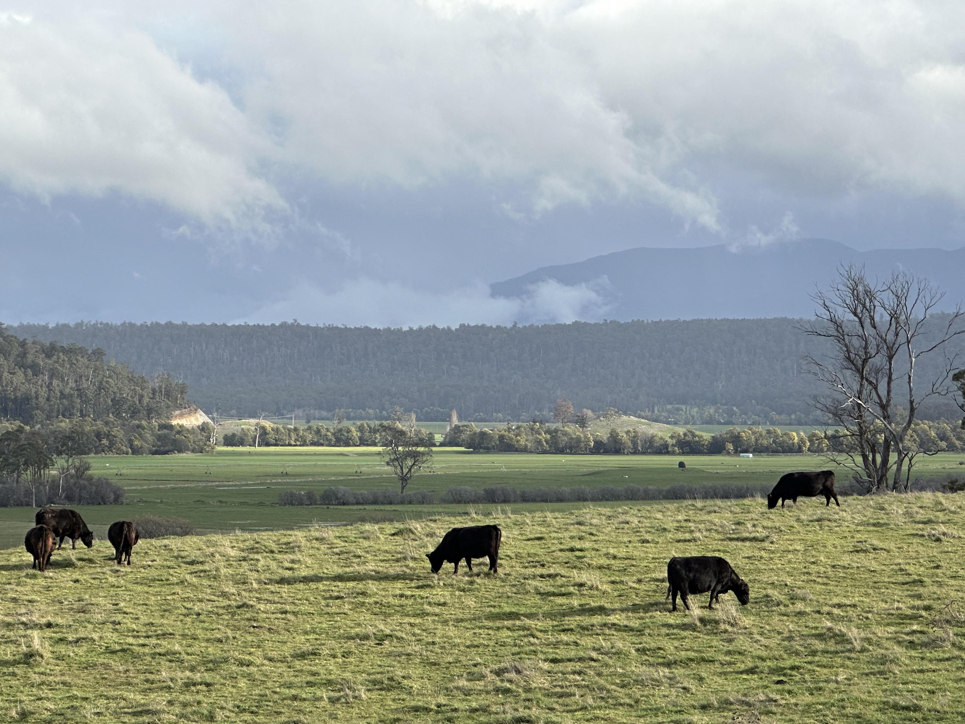 Rain clouds near Deloraine