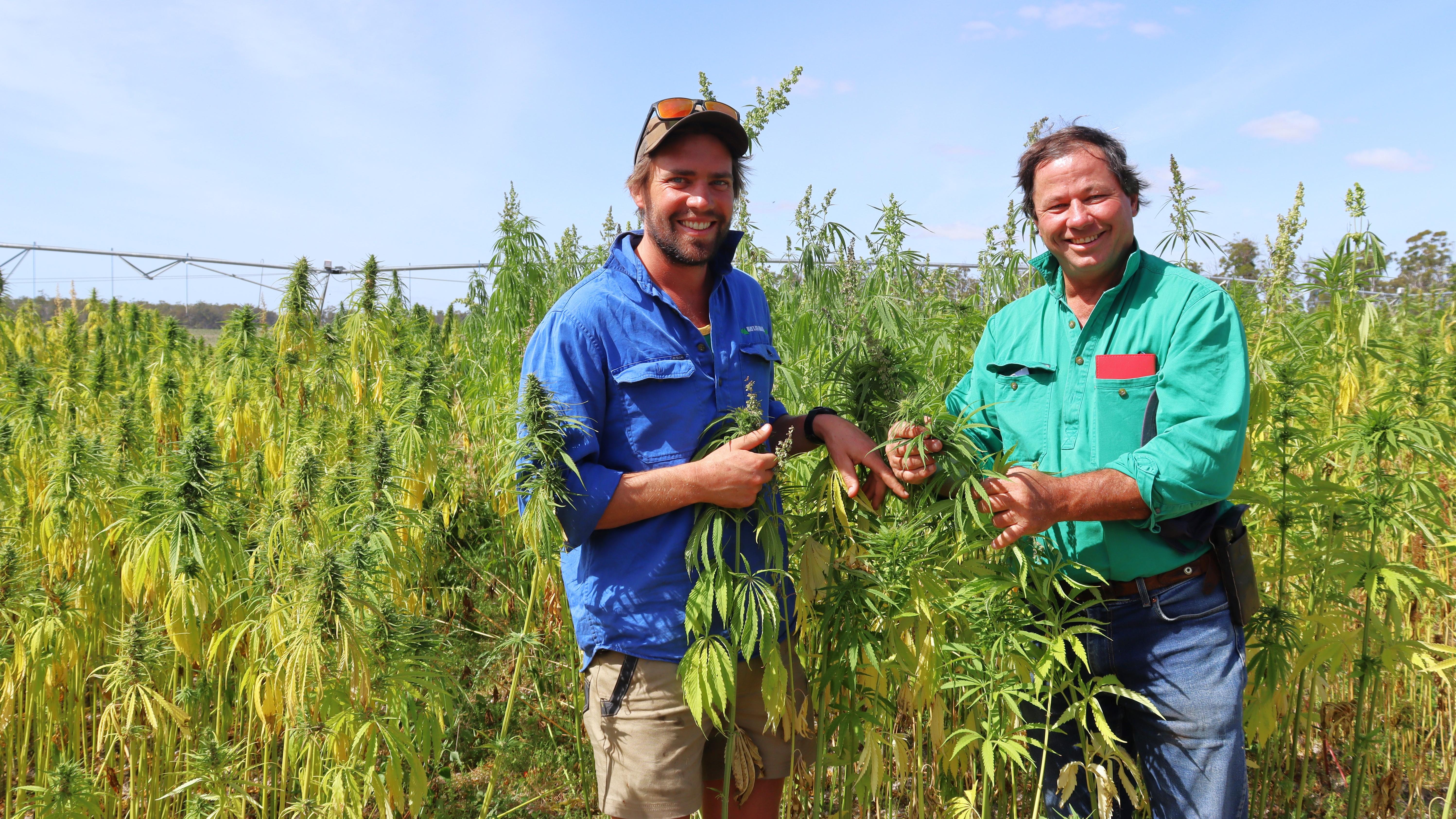 Hemp growers Chris Bayles and Tim Schmidt