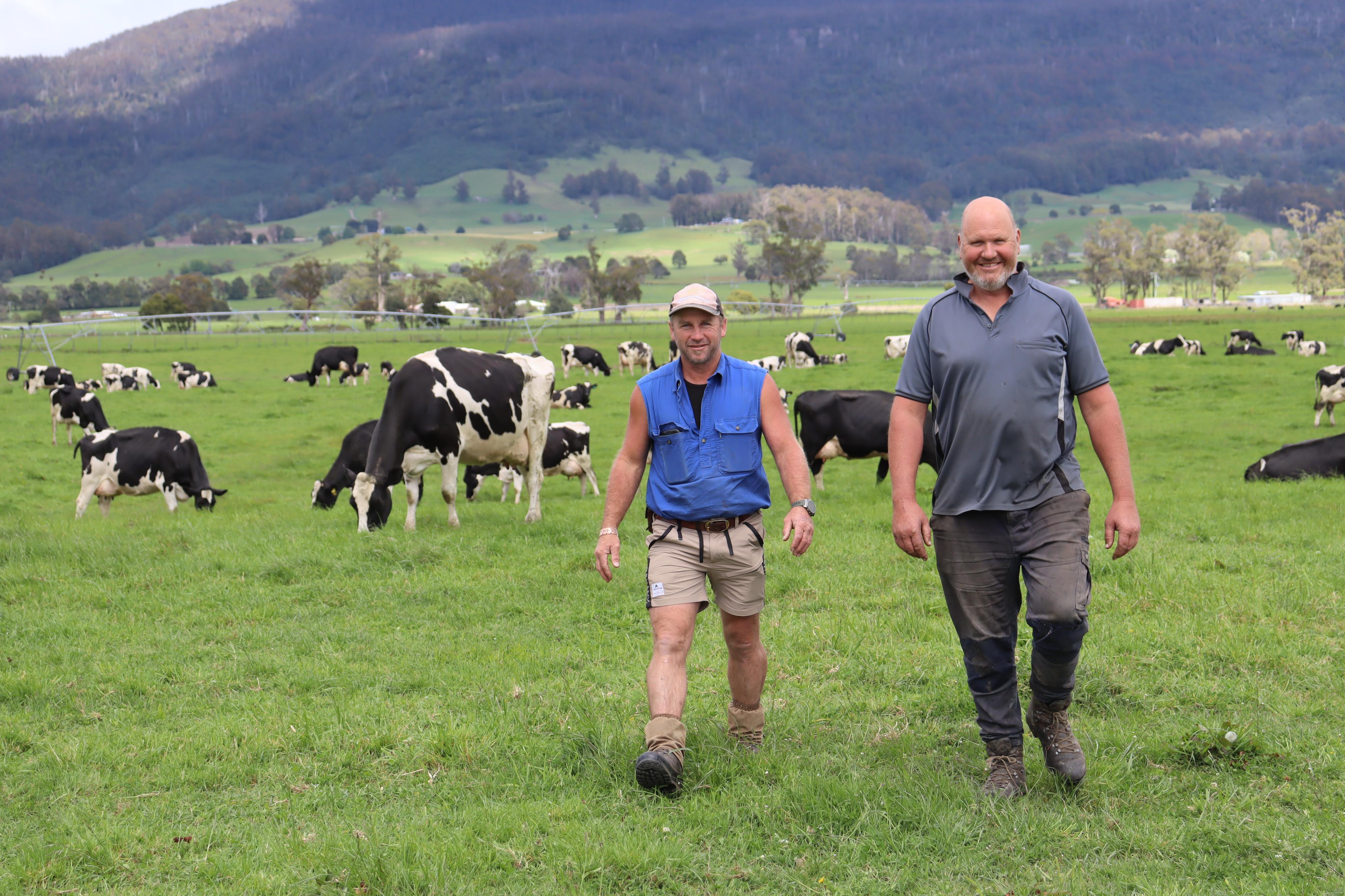 Meander Dairy Farmers