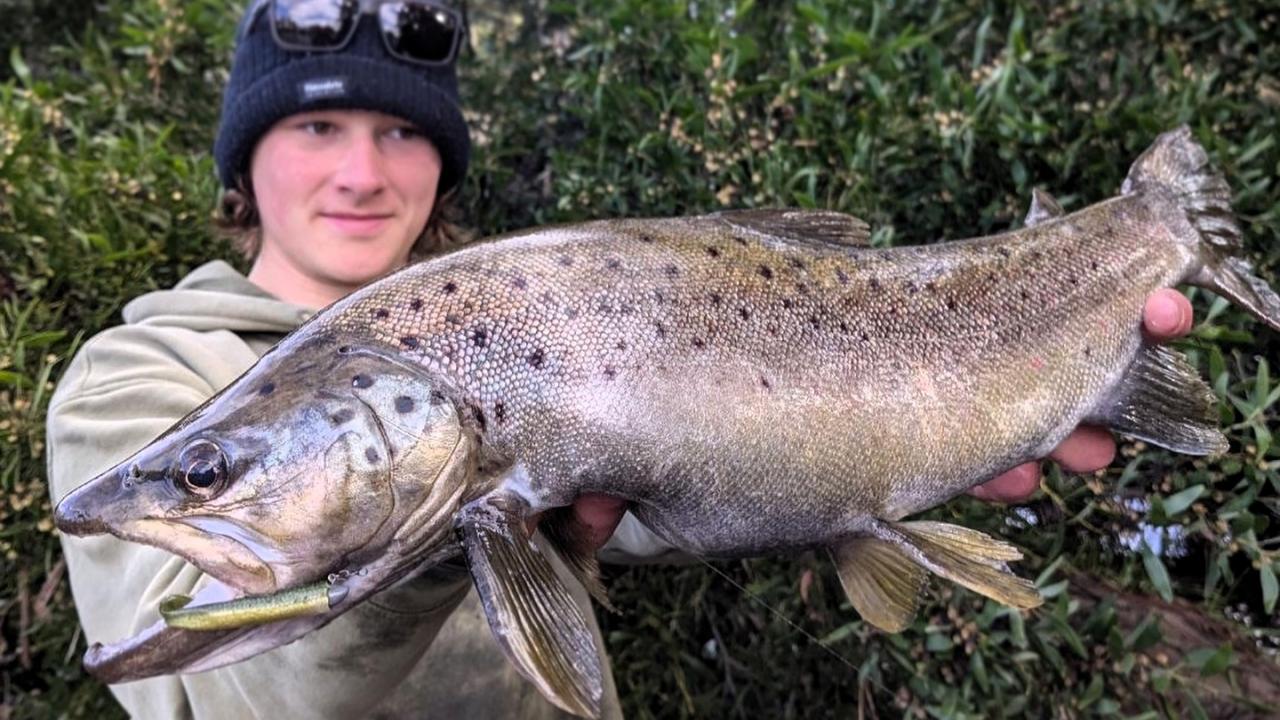 Picture: Kingborough Anglers Association's Arthur Whittock with his junior longest trout and winning fish in last weekend's STLAA Interclub Challenge held on the Huon River.