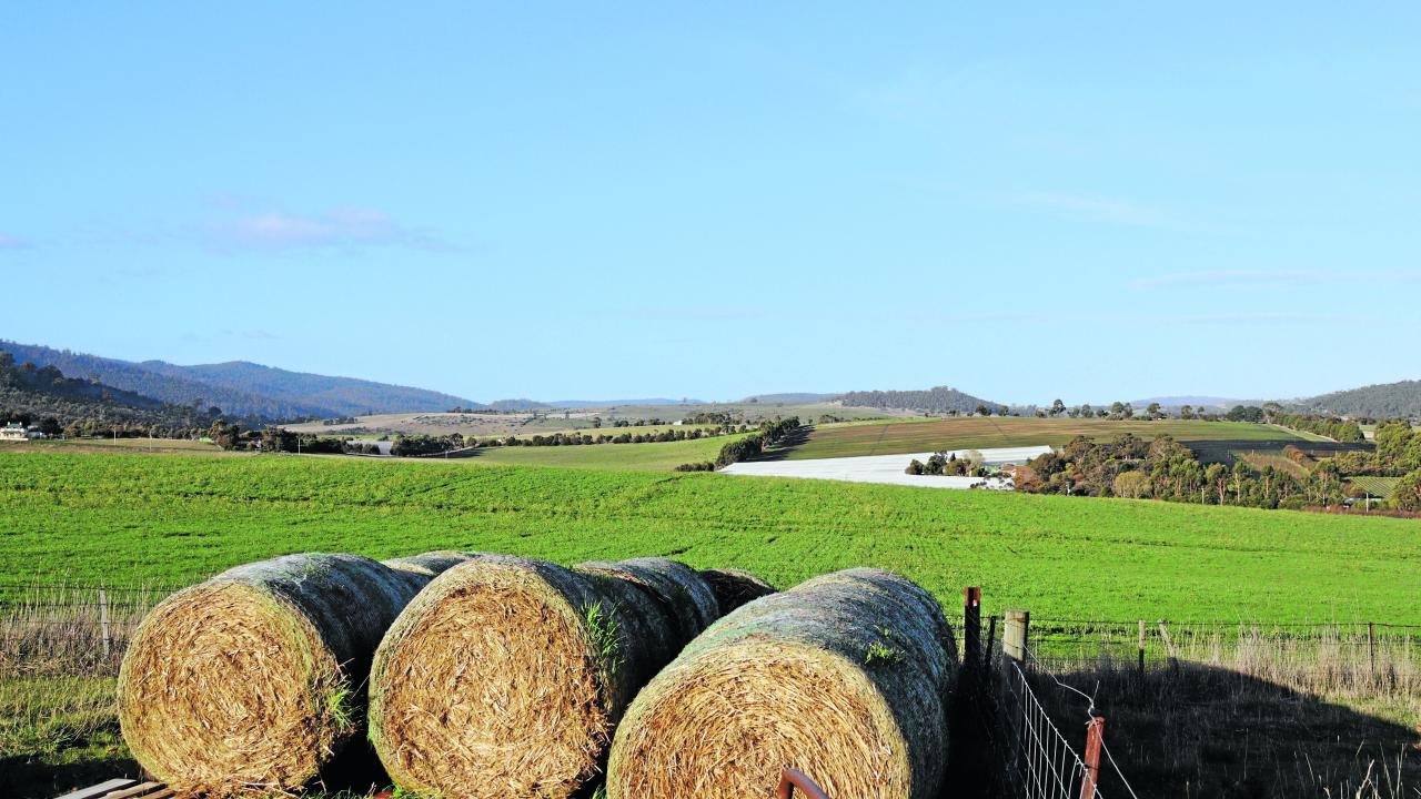 Hay bales