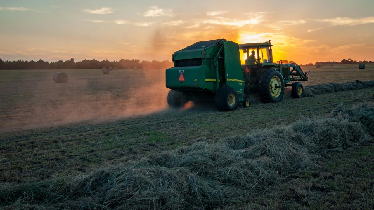 Photo: Jed Owen Tractor in field