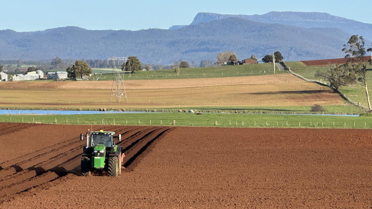 Tractor preparing paddocks near Deloraine Tractor preparing paddocks near Deloraine