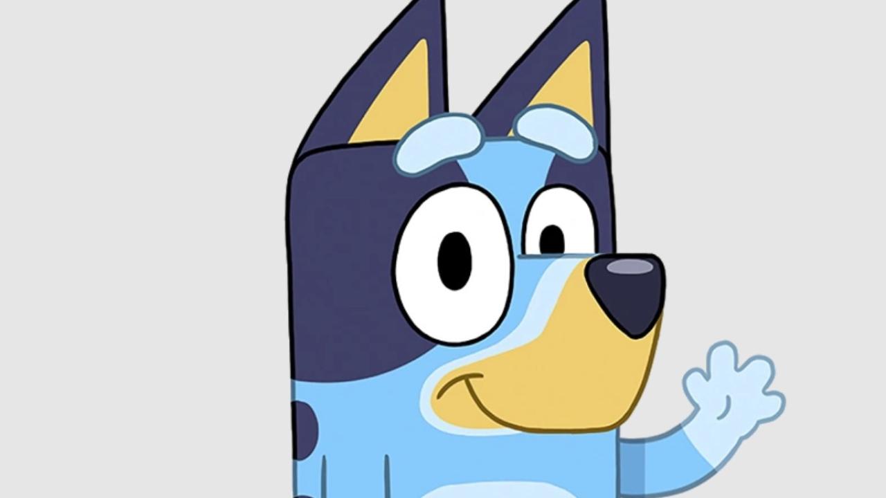Find Bluey in the Northern Courier Find Bluey