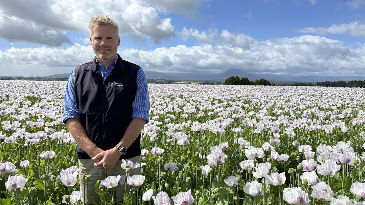 Extractas Bioscience senior field officer Dylan Craw in a poppy crop on the Huett familys property near Deloraine