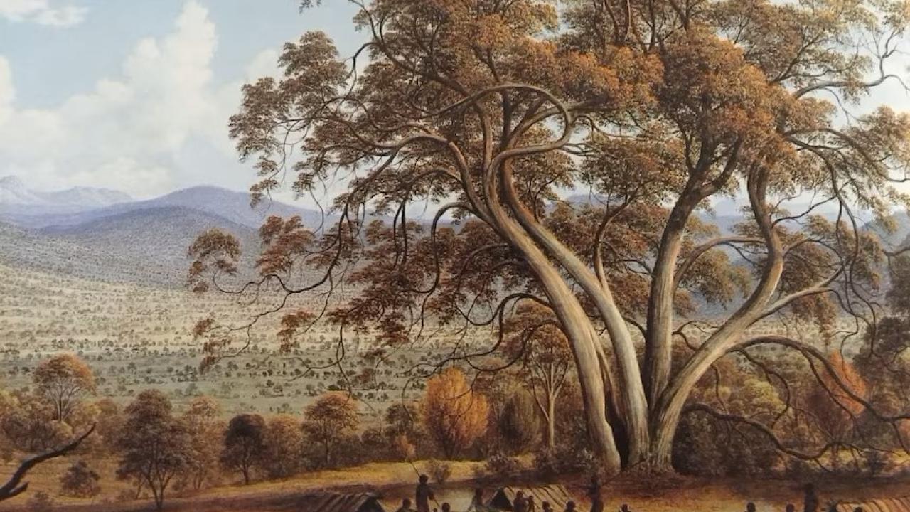 Colonial artist John Glover’s painting of Tasmanian Aboriginals at Mills Plains. Colonial artist John Glover’s painting of Tasmanian Aboriginals at Mills Plains.